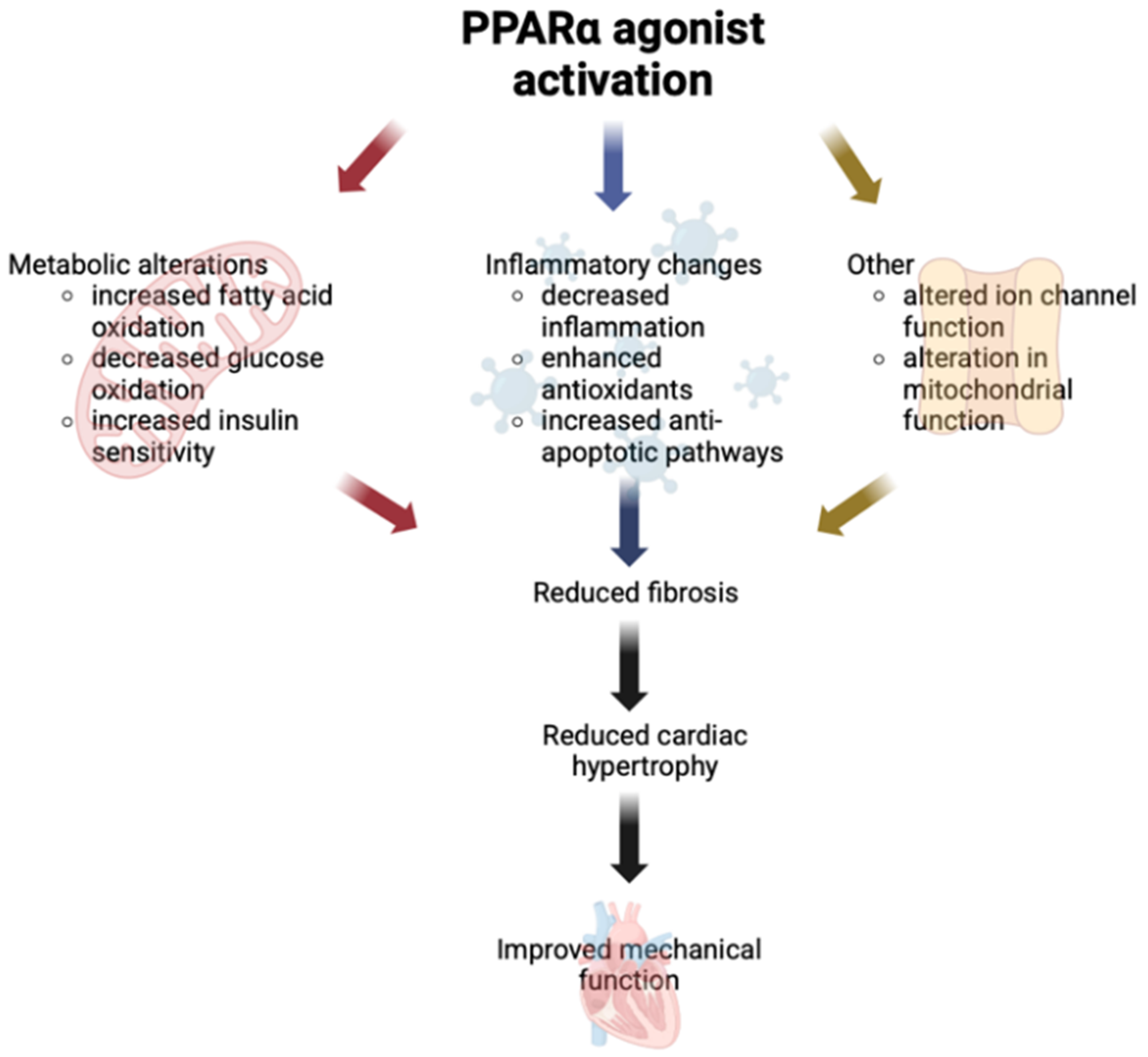 Biomedicines 13 02080 g002