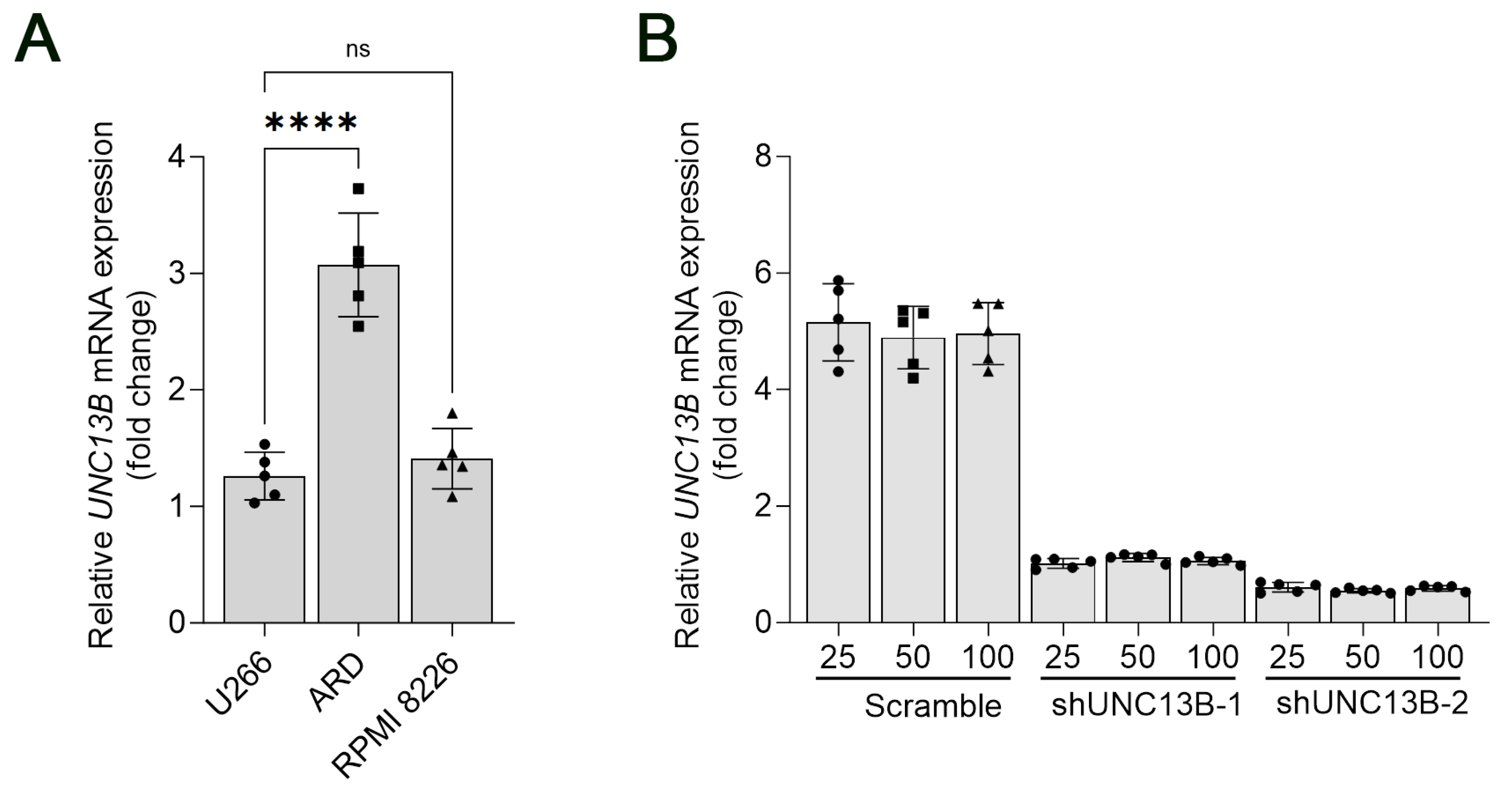 Biomedicines 13 02086 g001