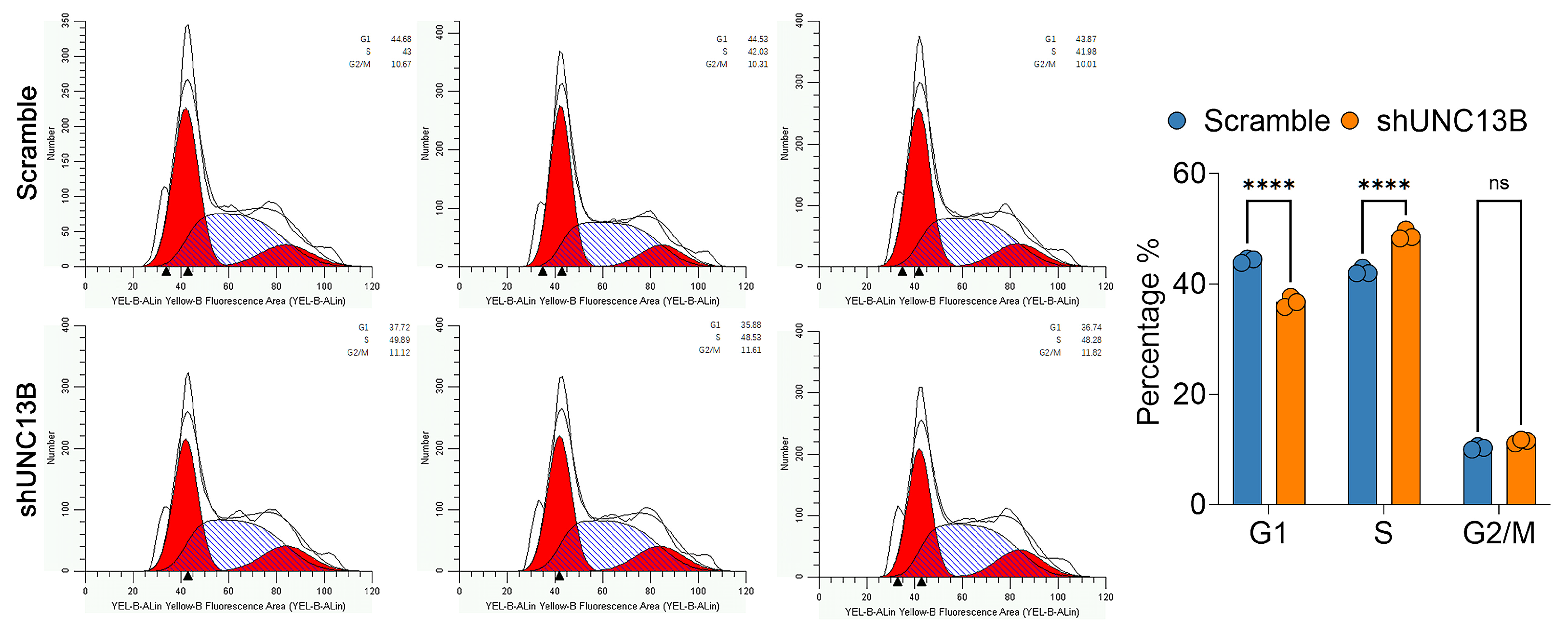 Biomedicines 13 02086 g004