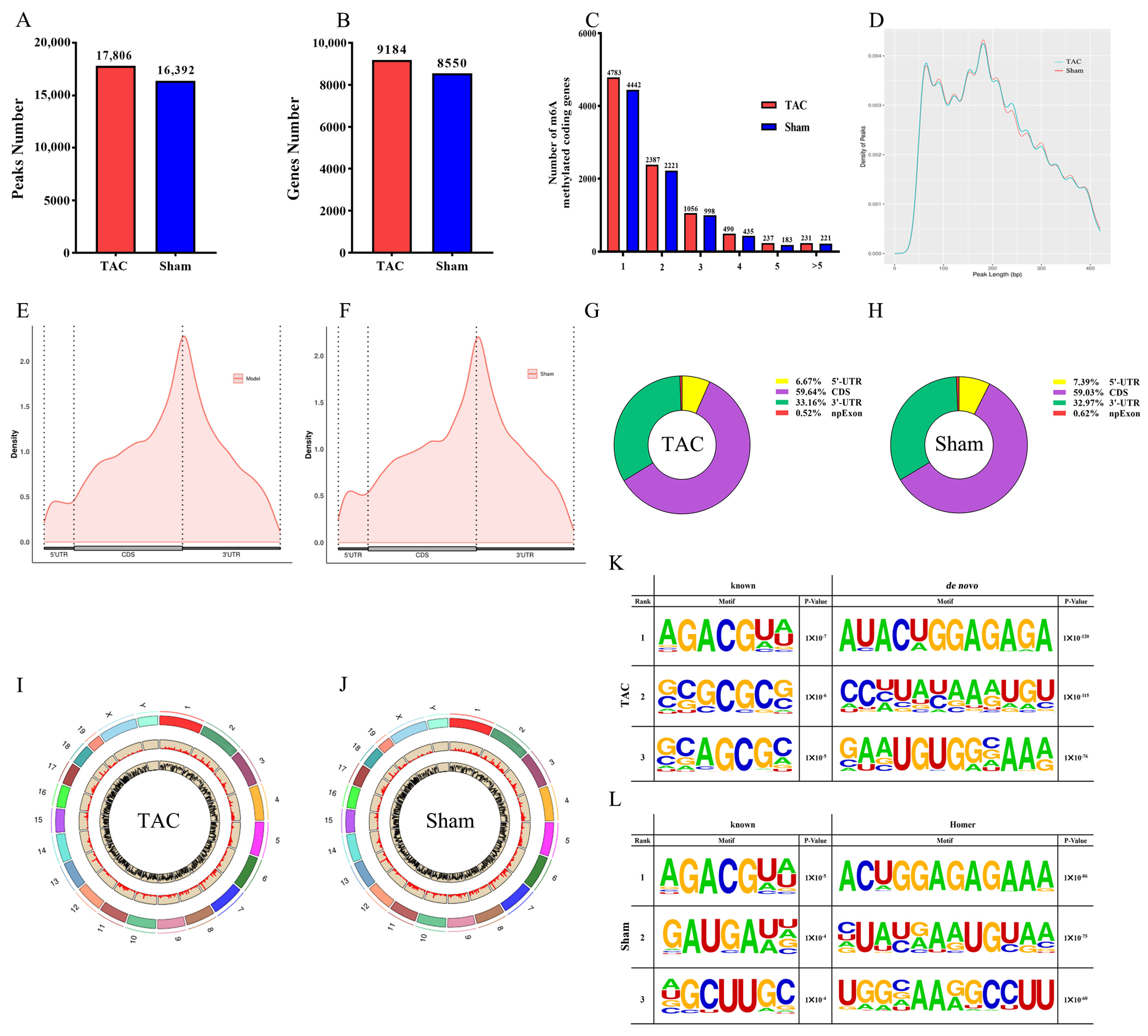 Biomedicines 13 02092 g003