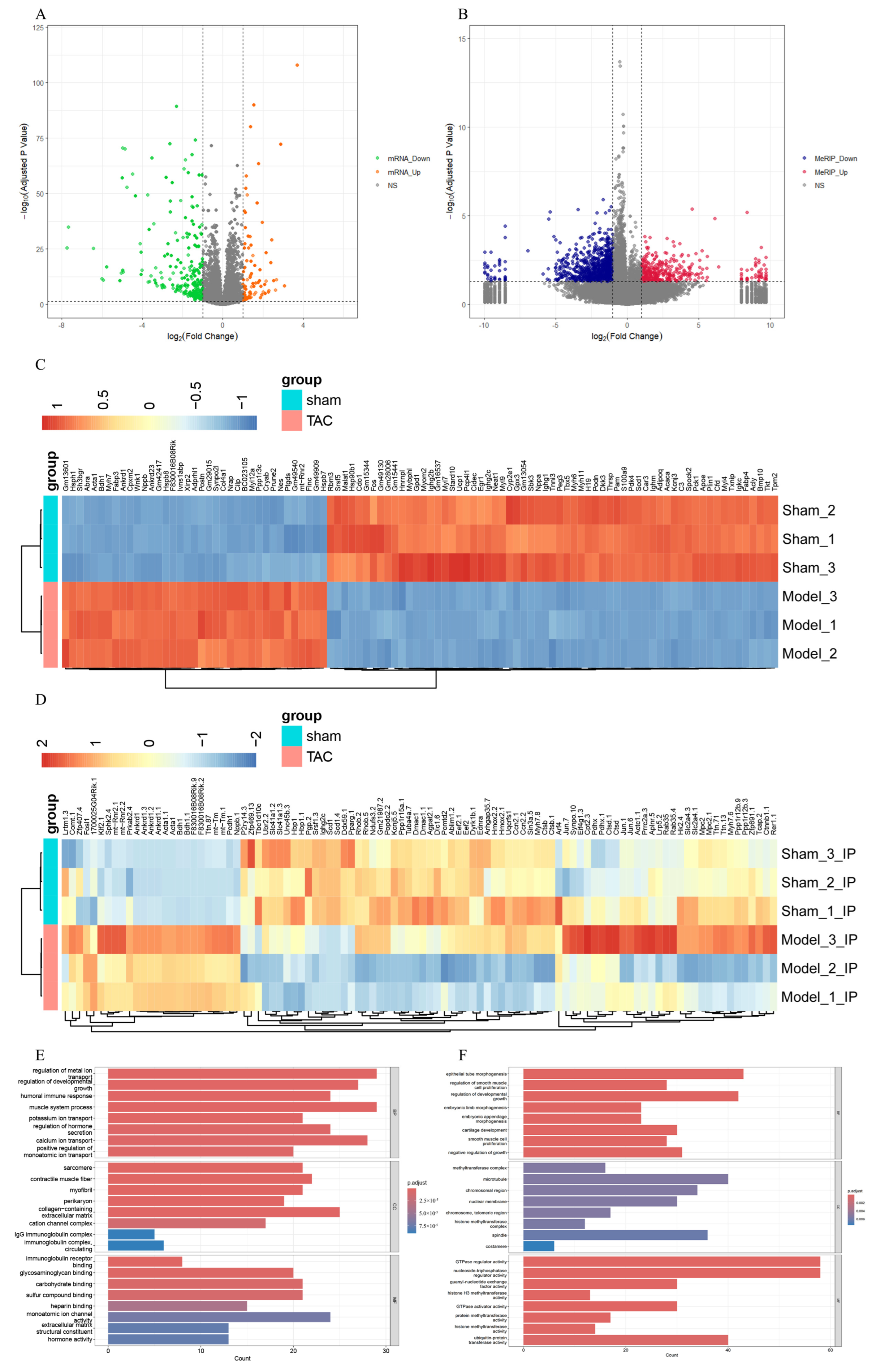 Biomedicines 13 02092 g004a