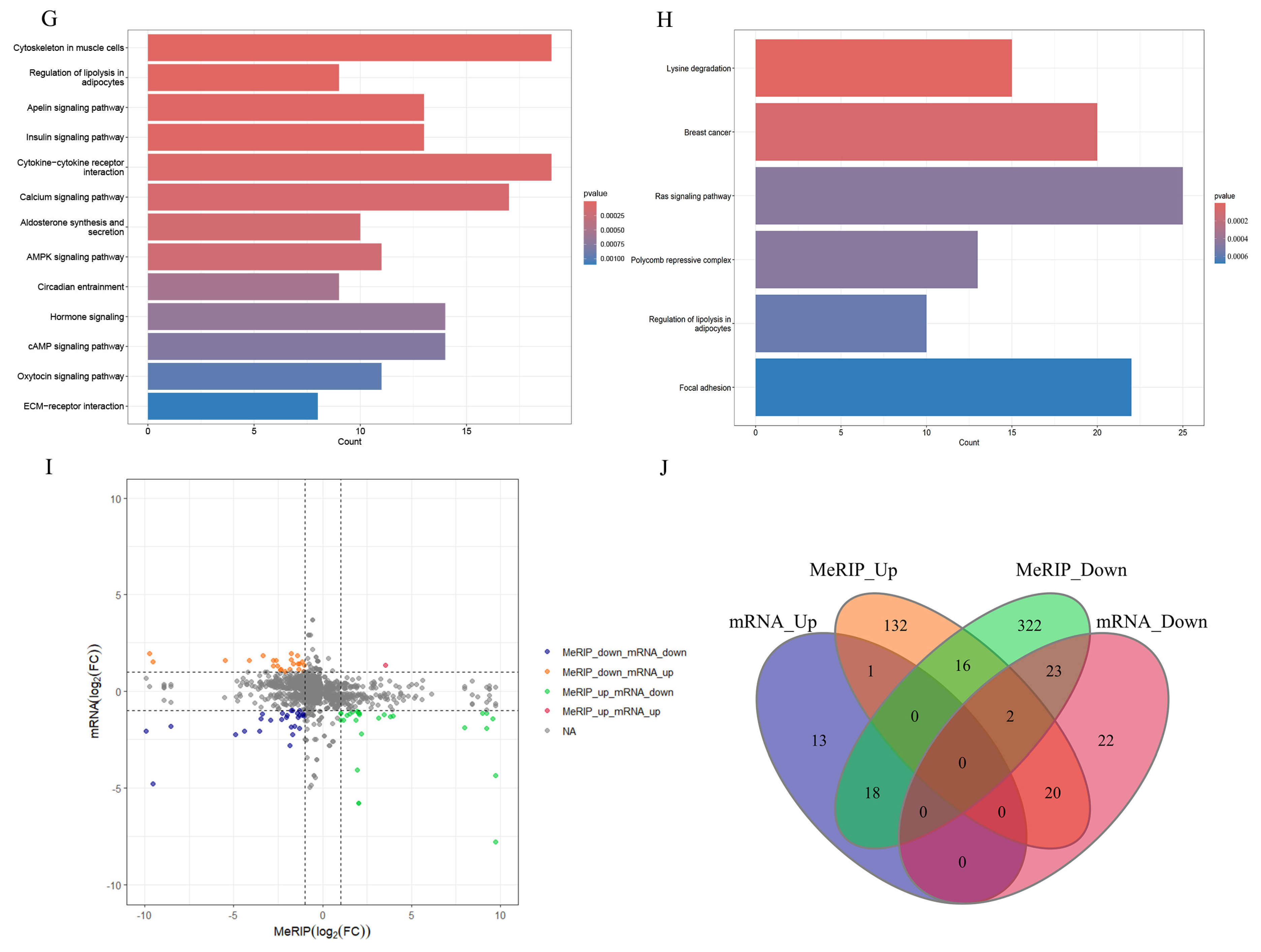 Biomedicines 13 02092 g004b
