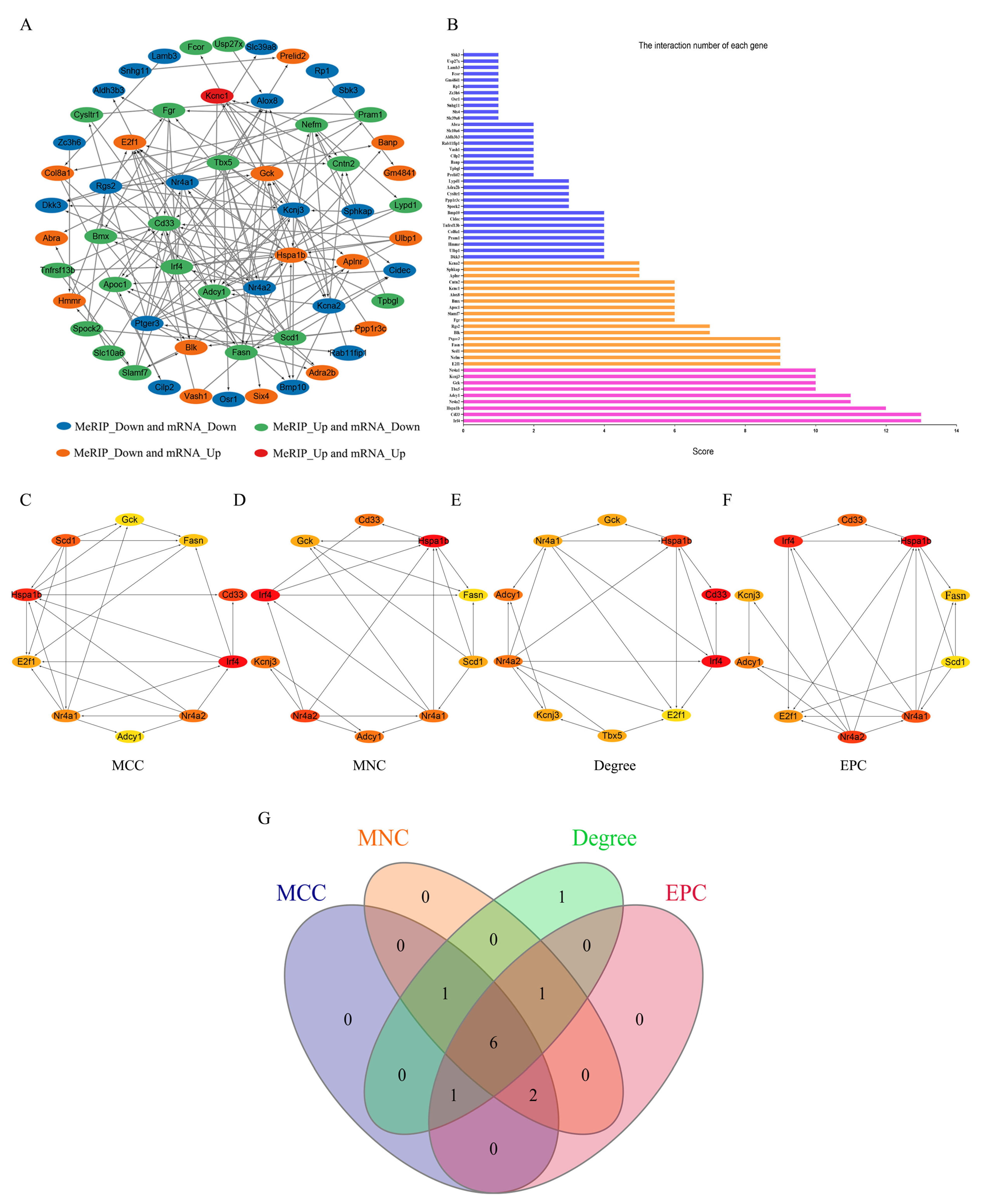 Biomedicines 13 02092 g005