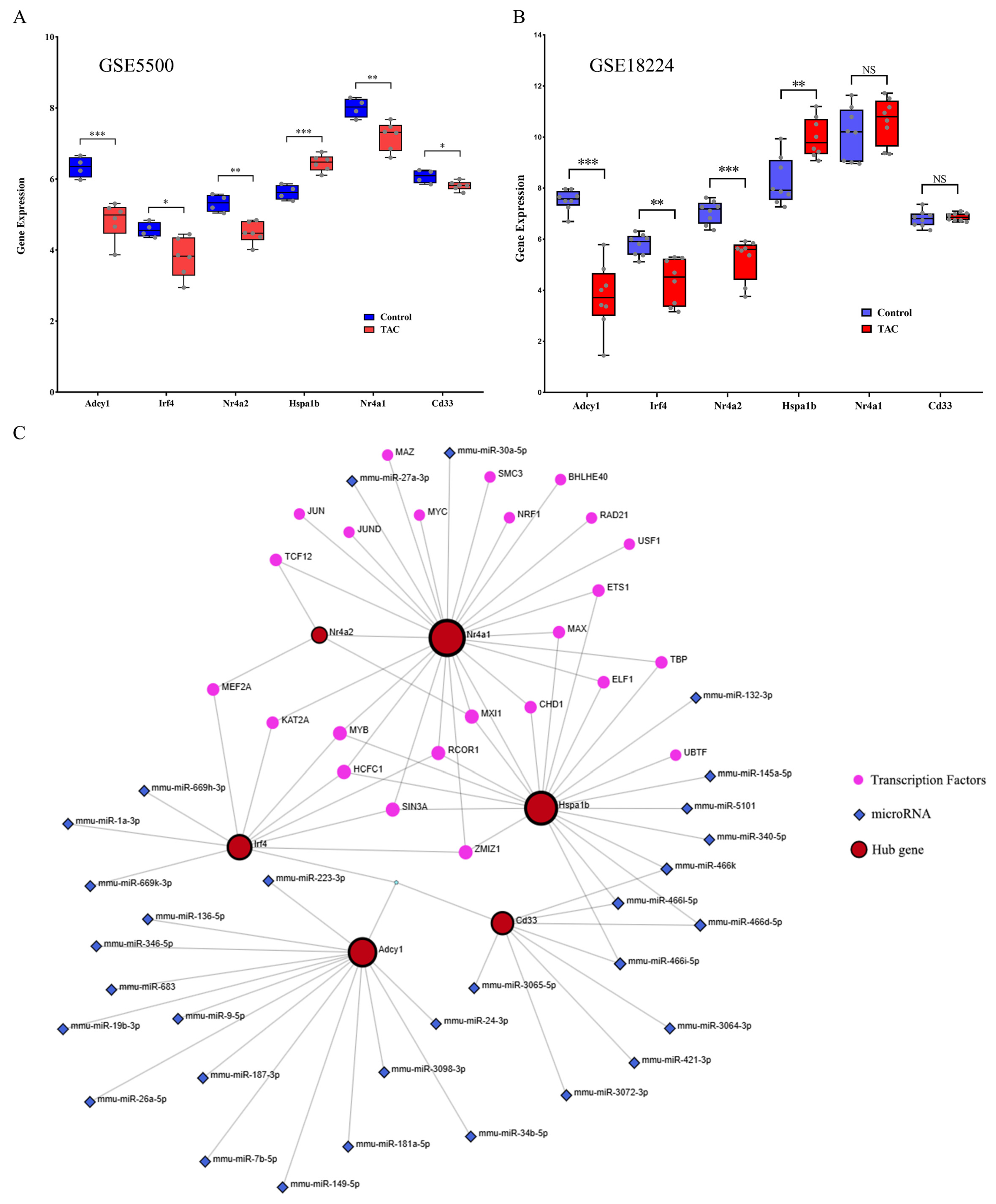 Biomedicines 13 02092 g006