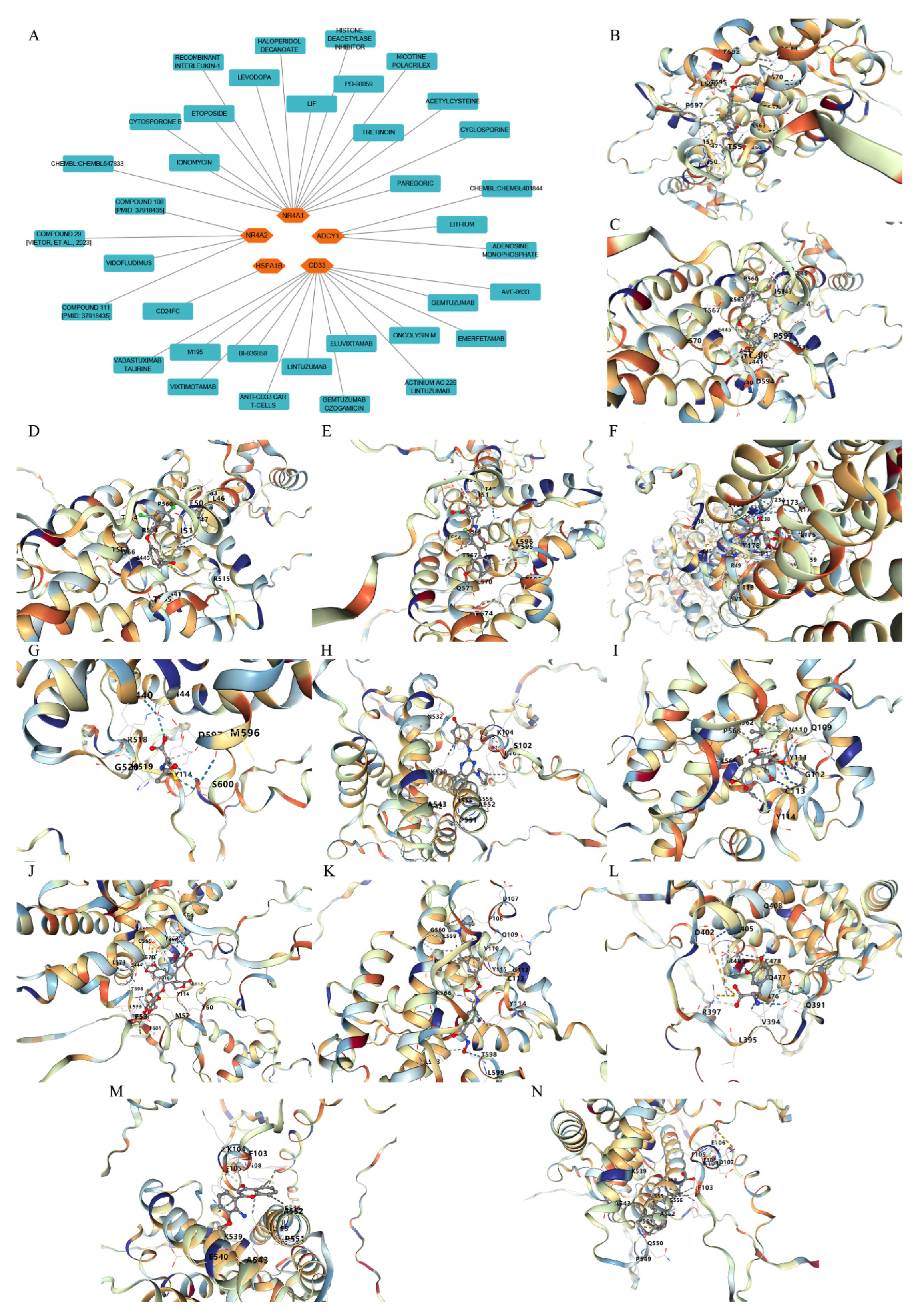 Biomedicines 13 02092 g007