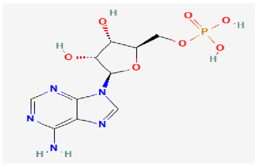 Biomedicines 13 02092 i005