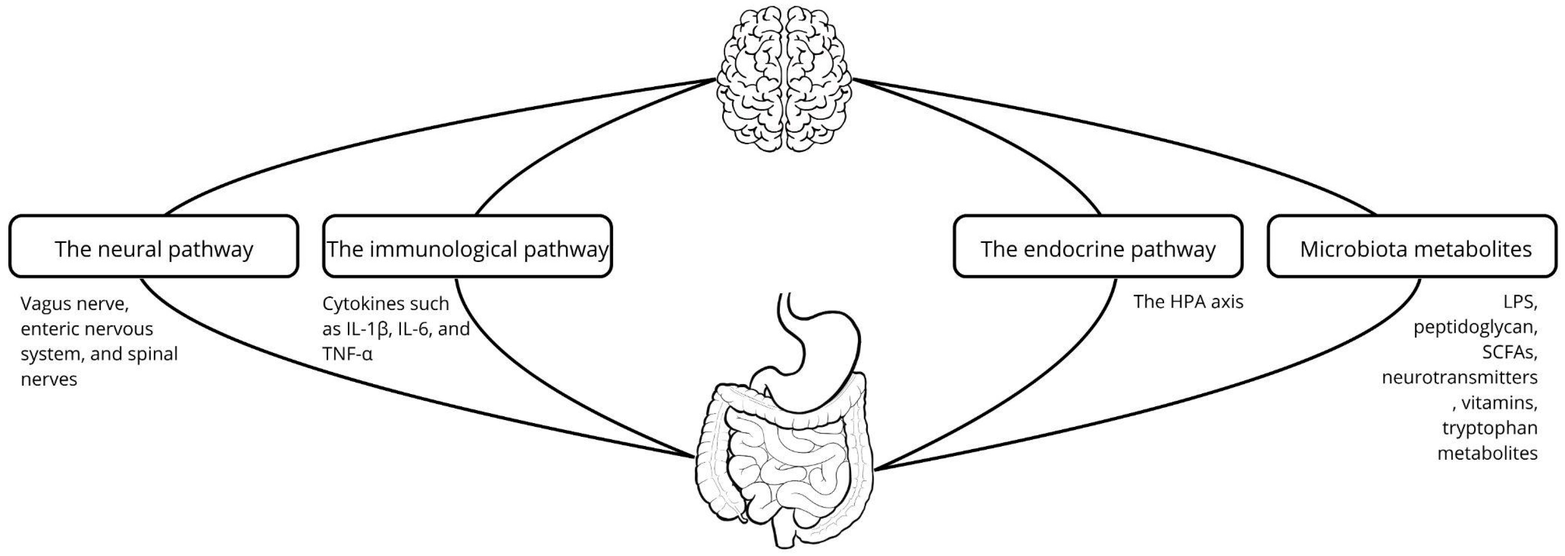 Biomedicines 13 02104 g001
