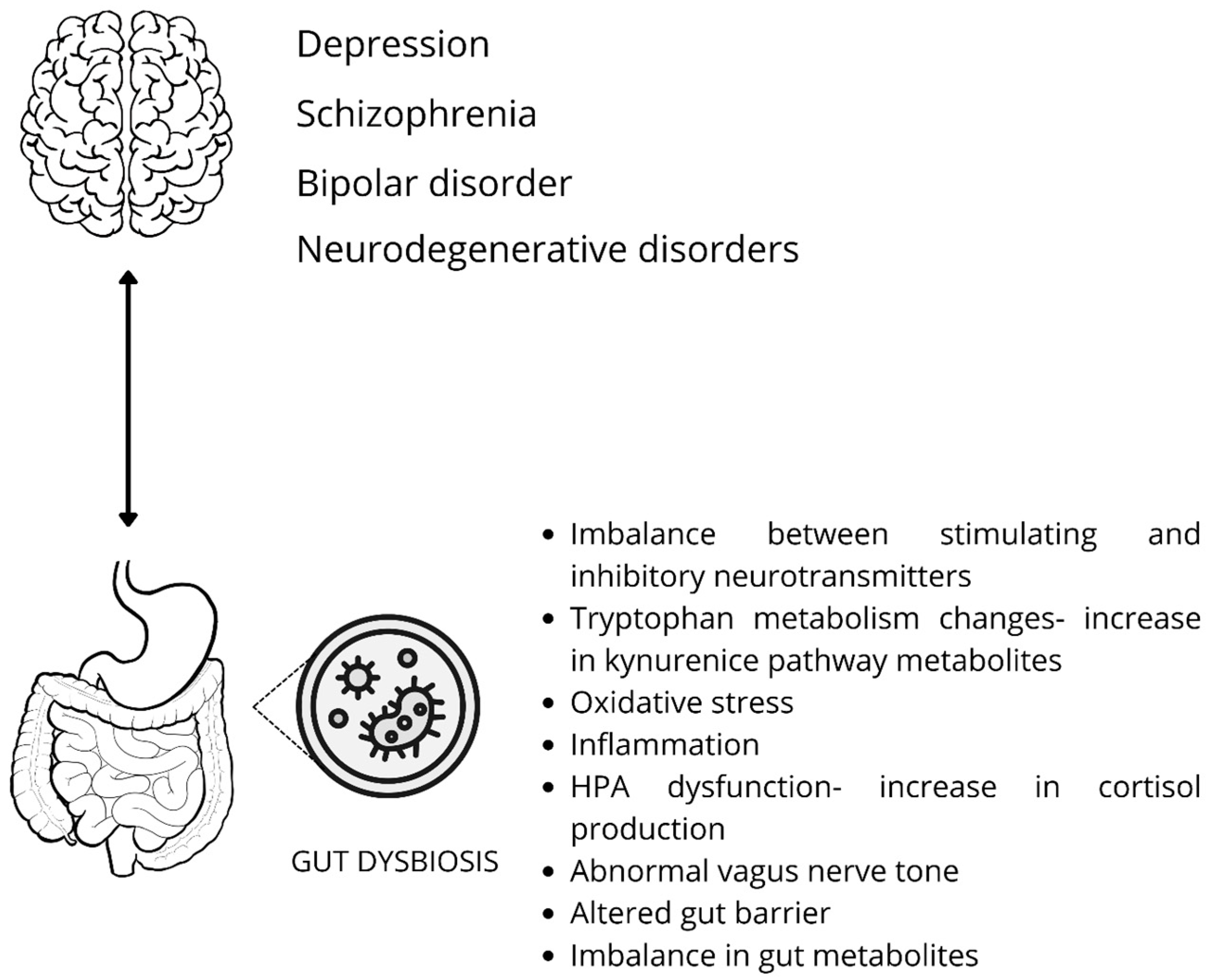 Biomedicines 13 02104 g003