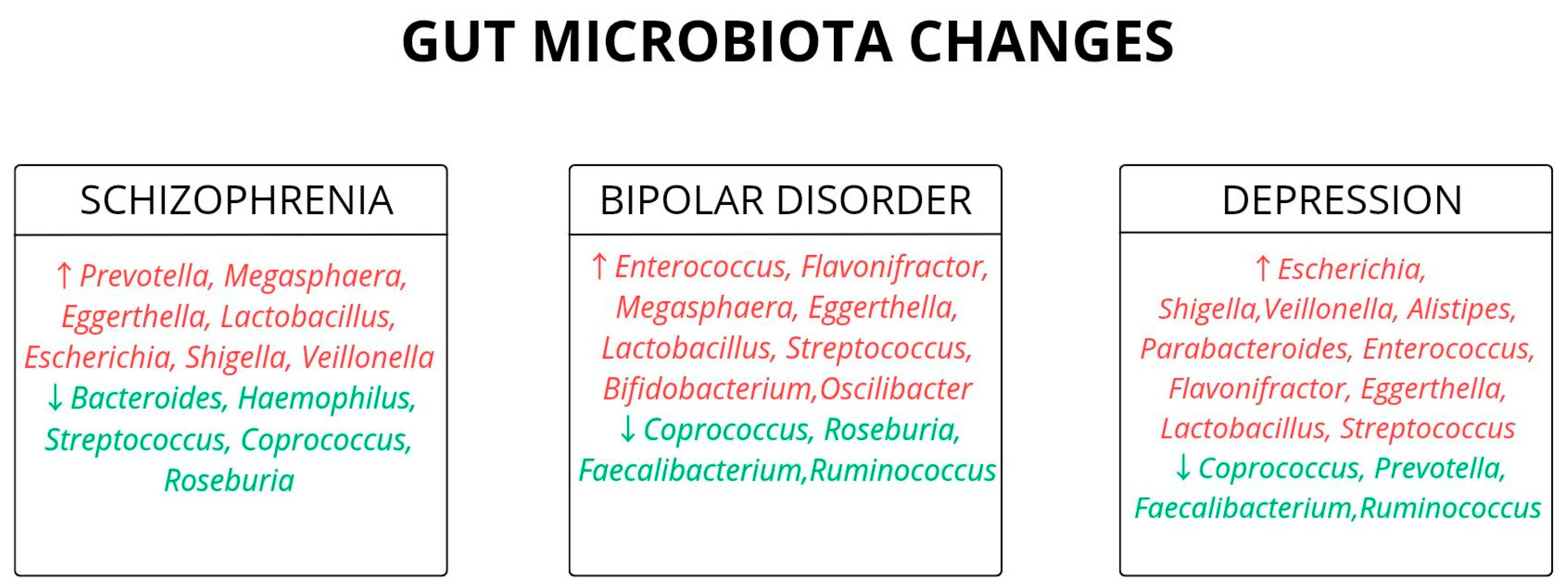Biomedicines 13 02104 g004