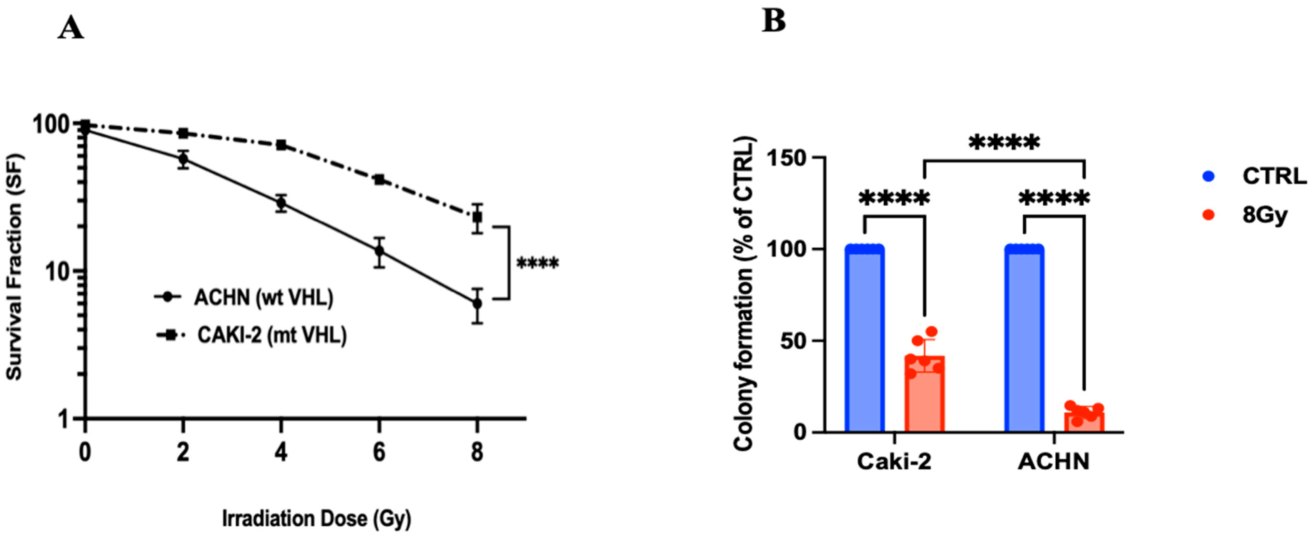 Biomedicines 13 02107 g001