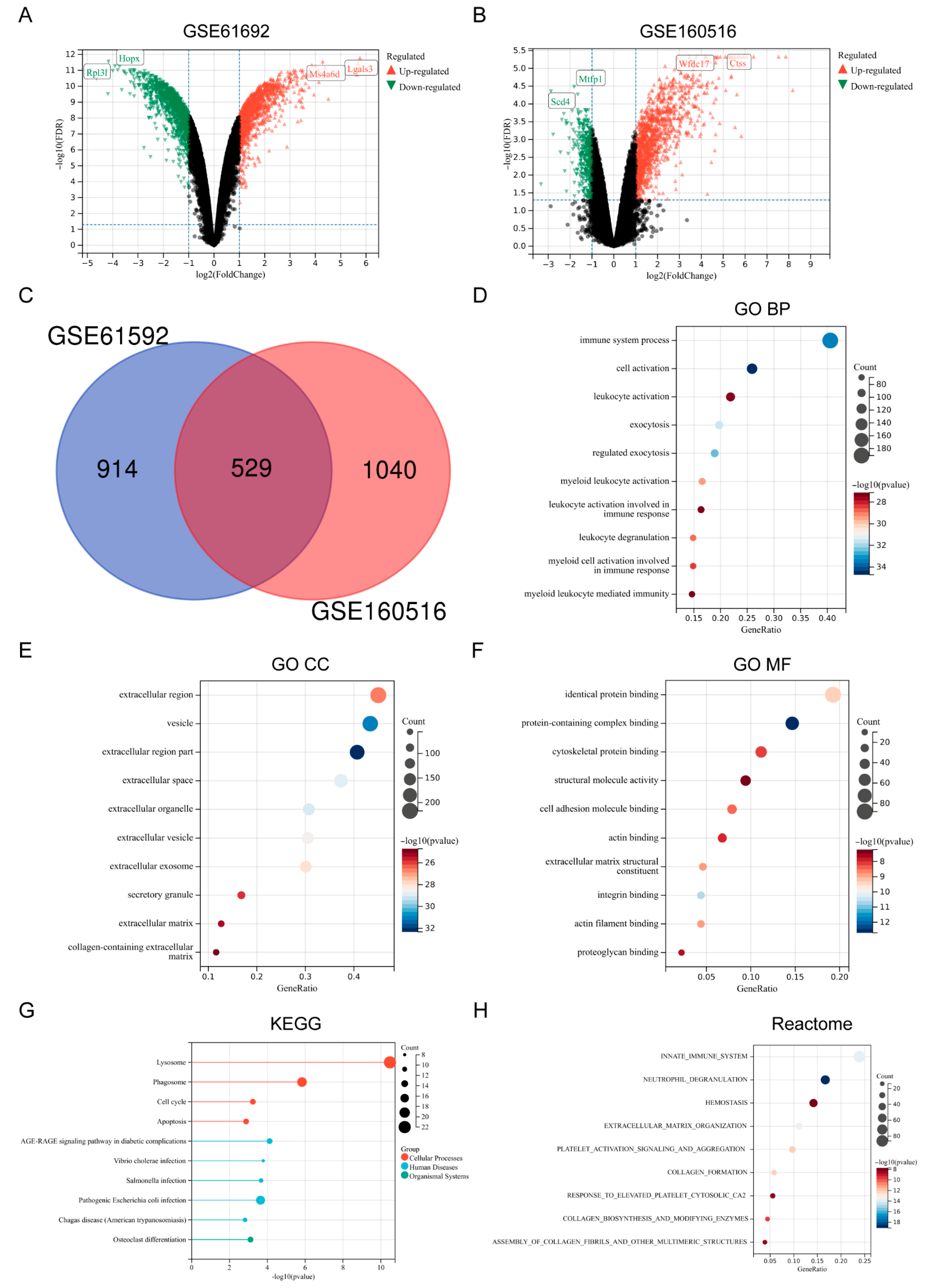 Biomedicines 13 02114 g001