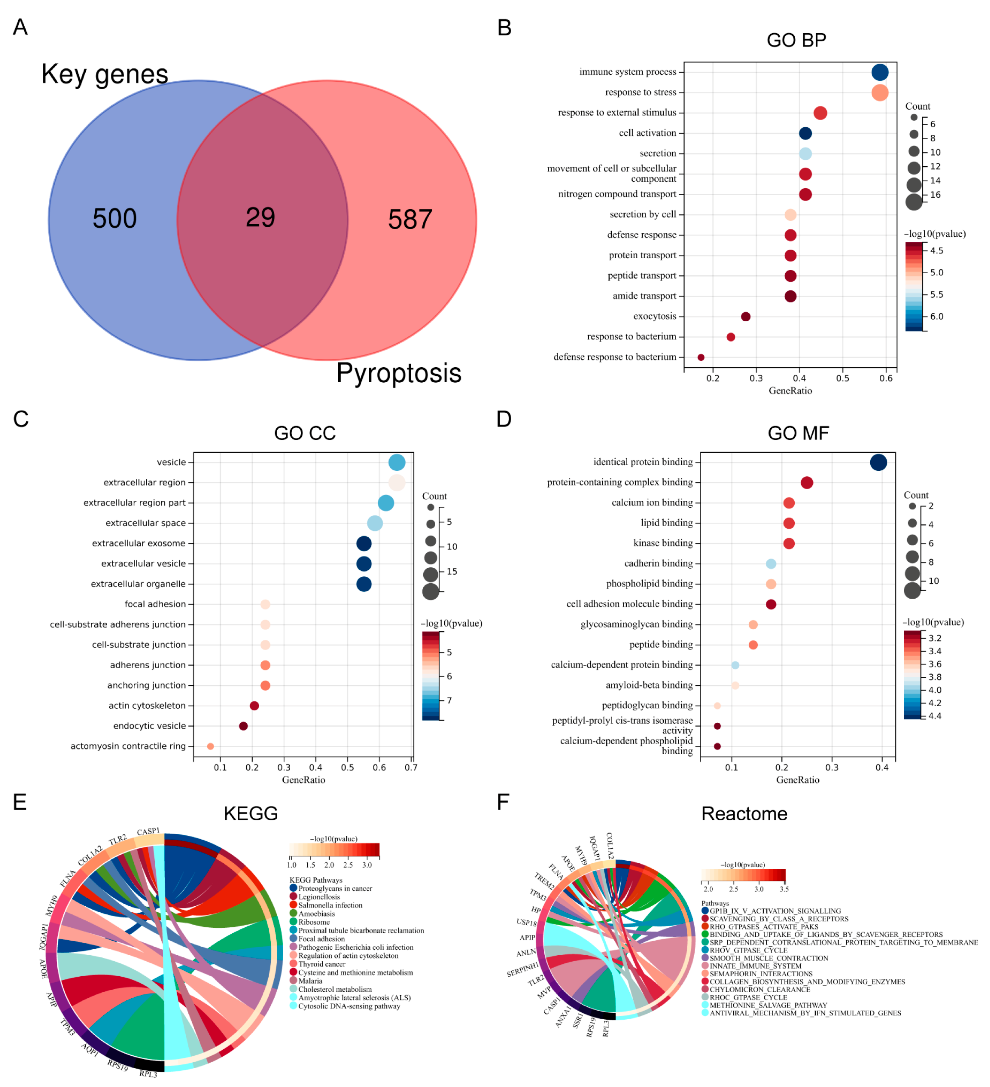 Biomedicines 13 02114 g002