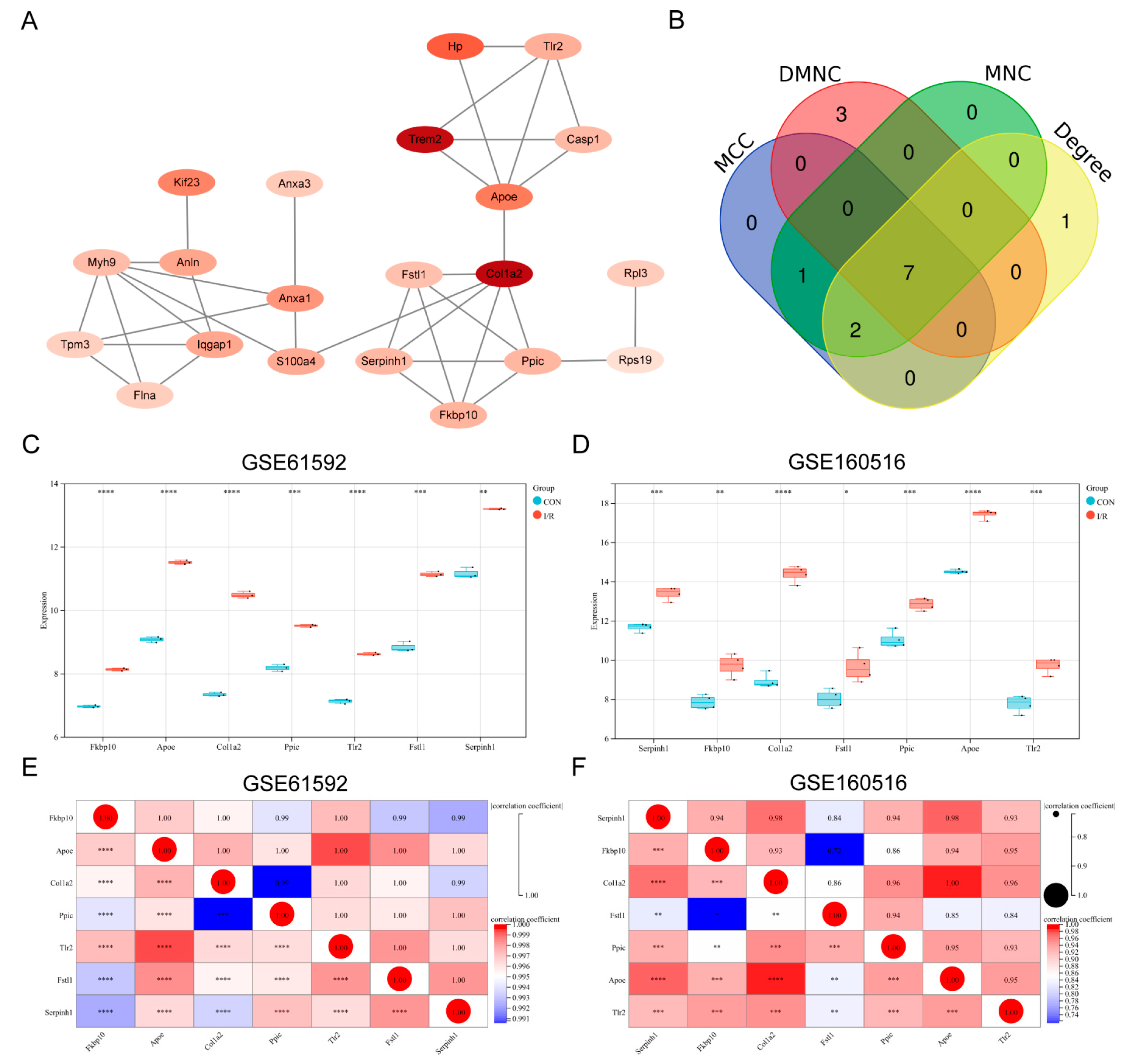 Biomedicines 13 02114 g003