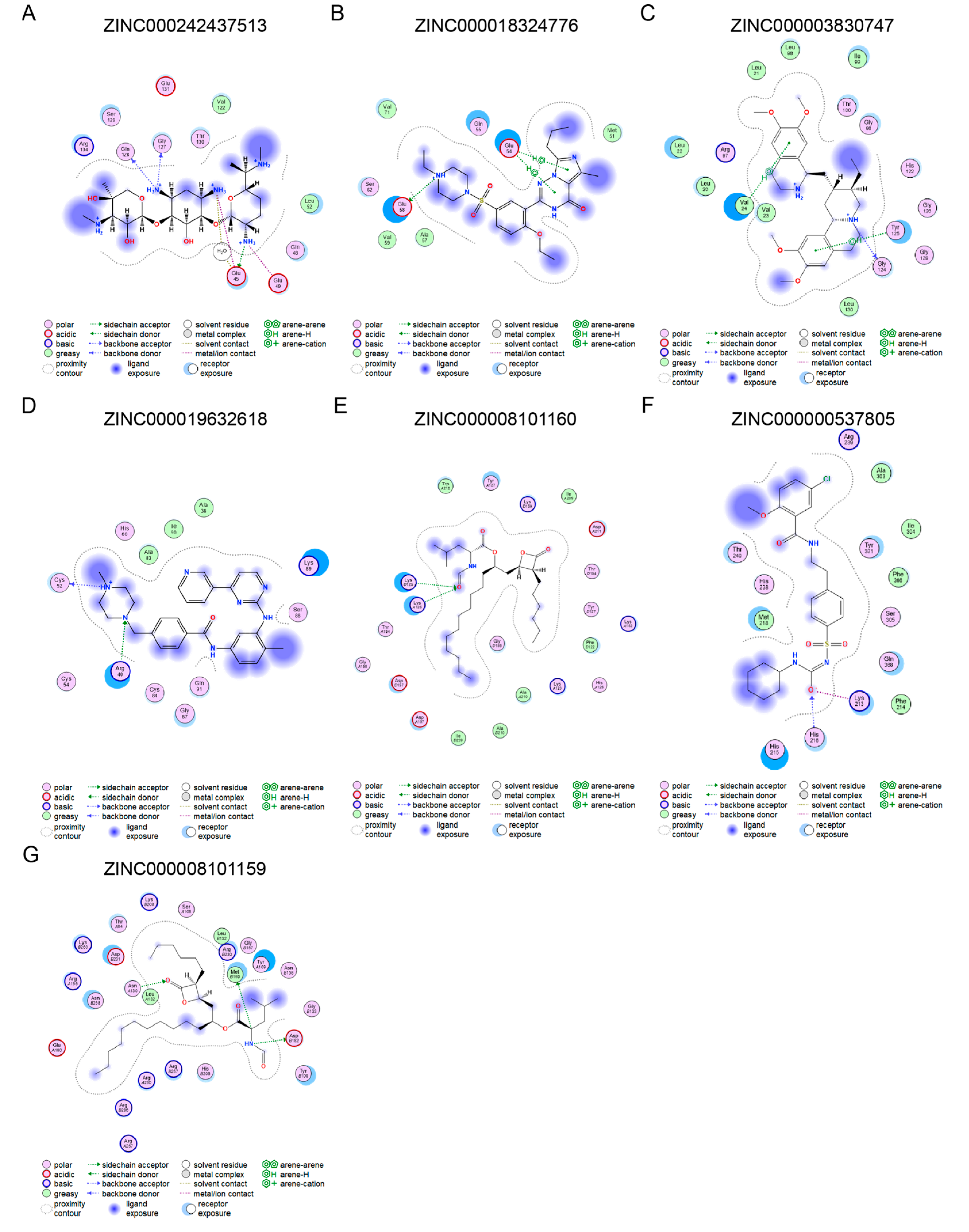 Biomedicines 13 02114 g005