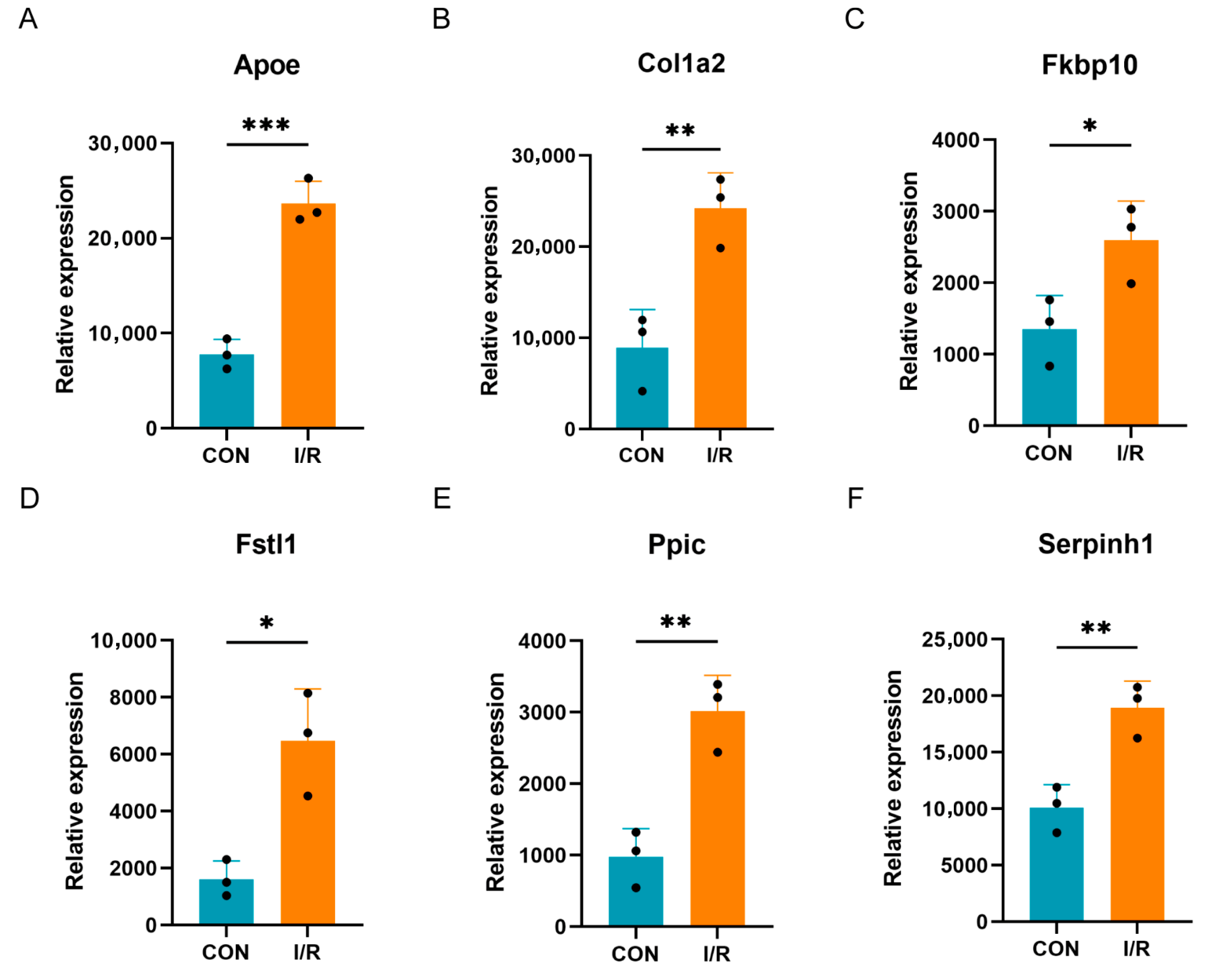 Biomedicines 13 02114 g006