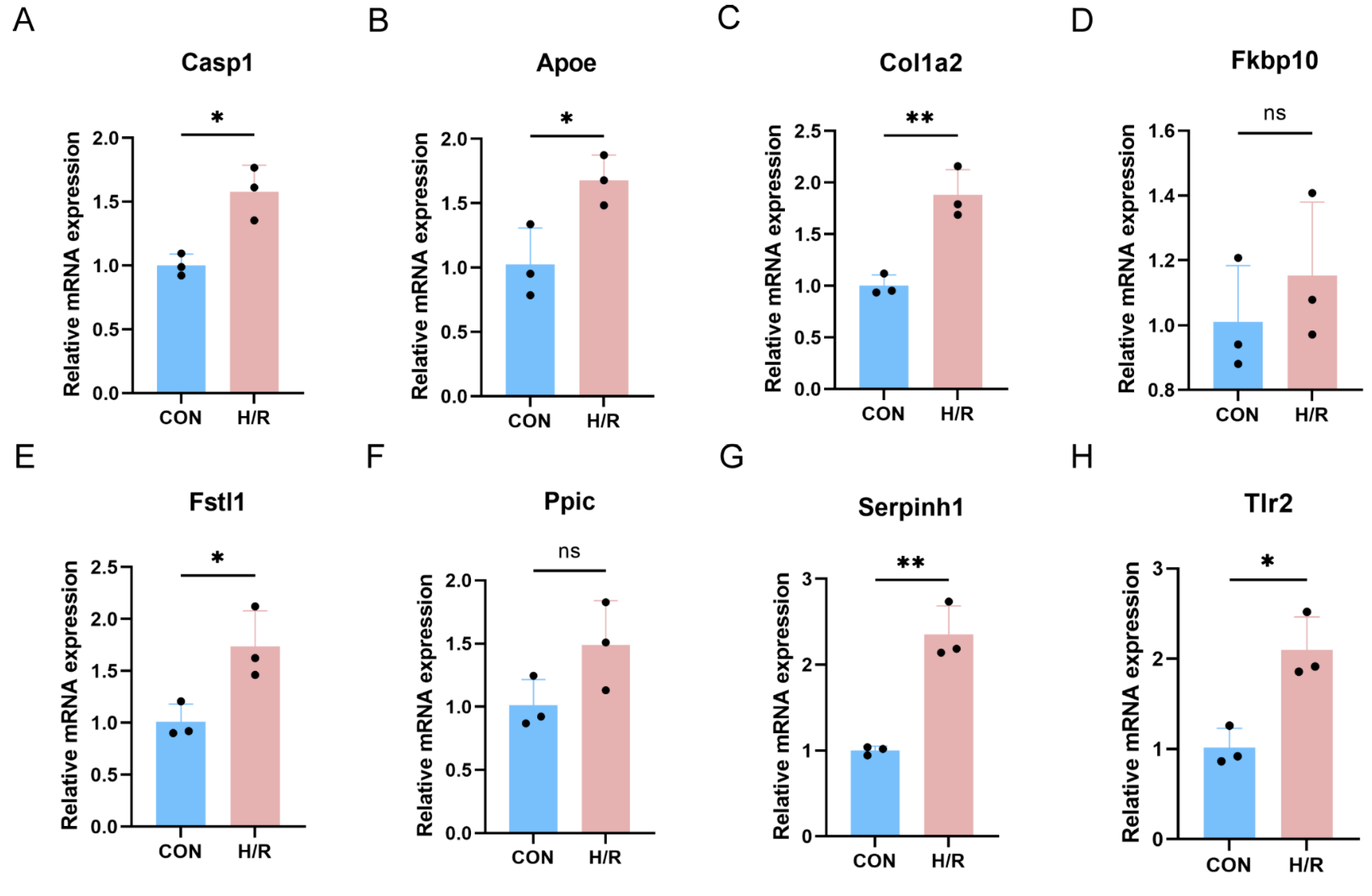 Biomedicines 13 02114 g008