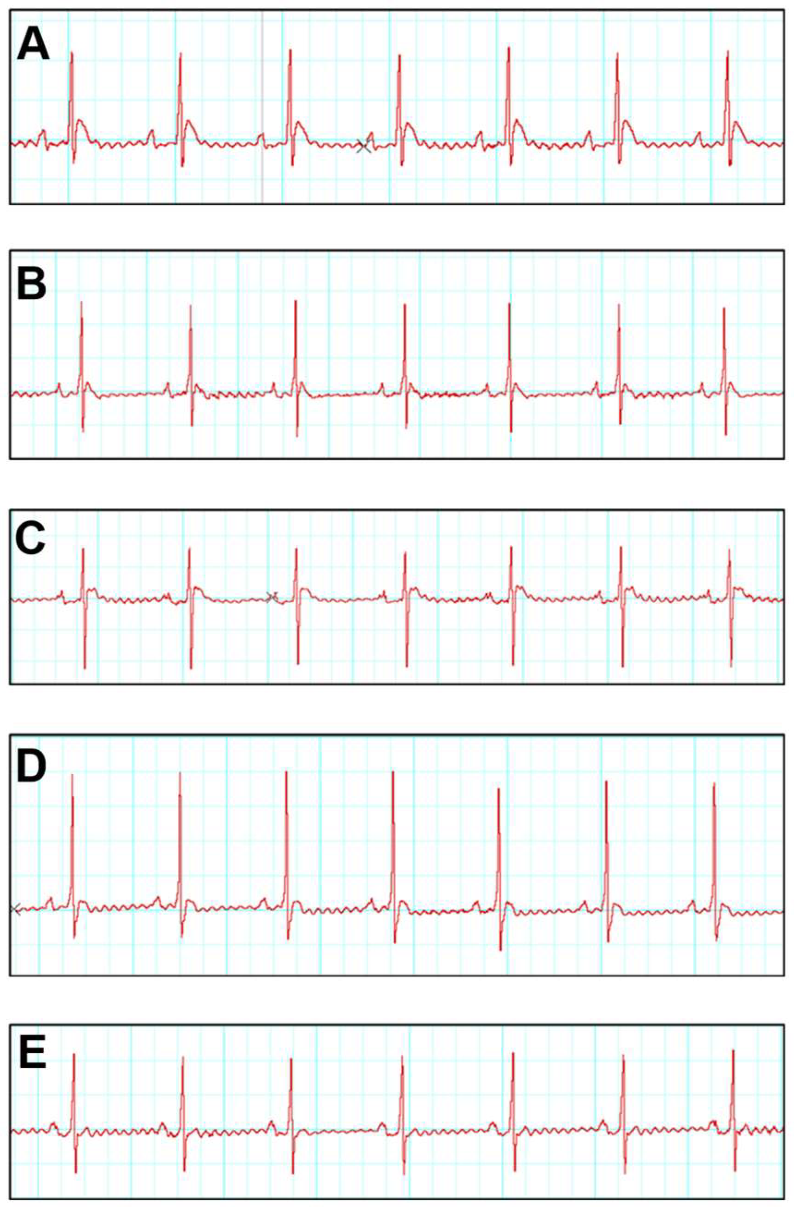 Biomedicines 13 02115 g001