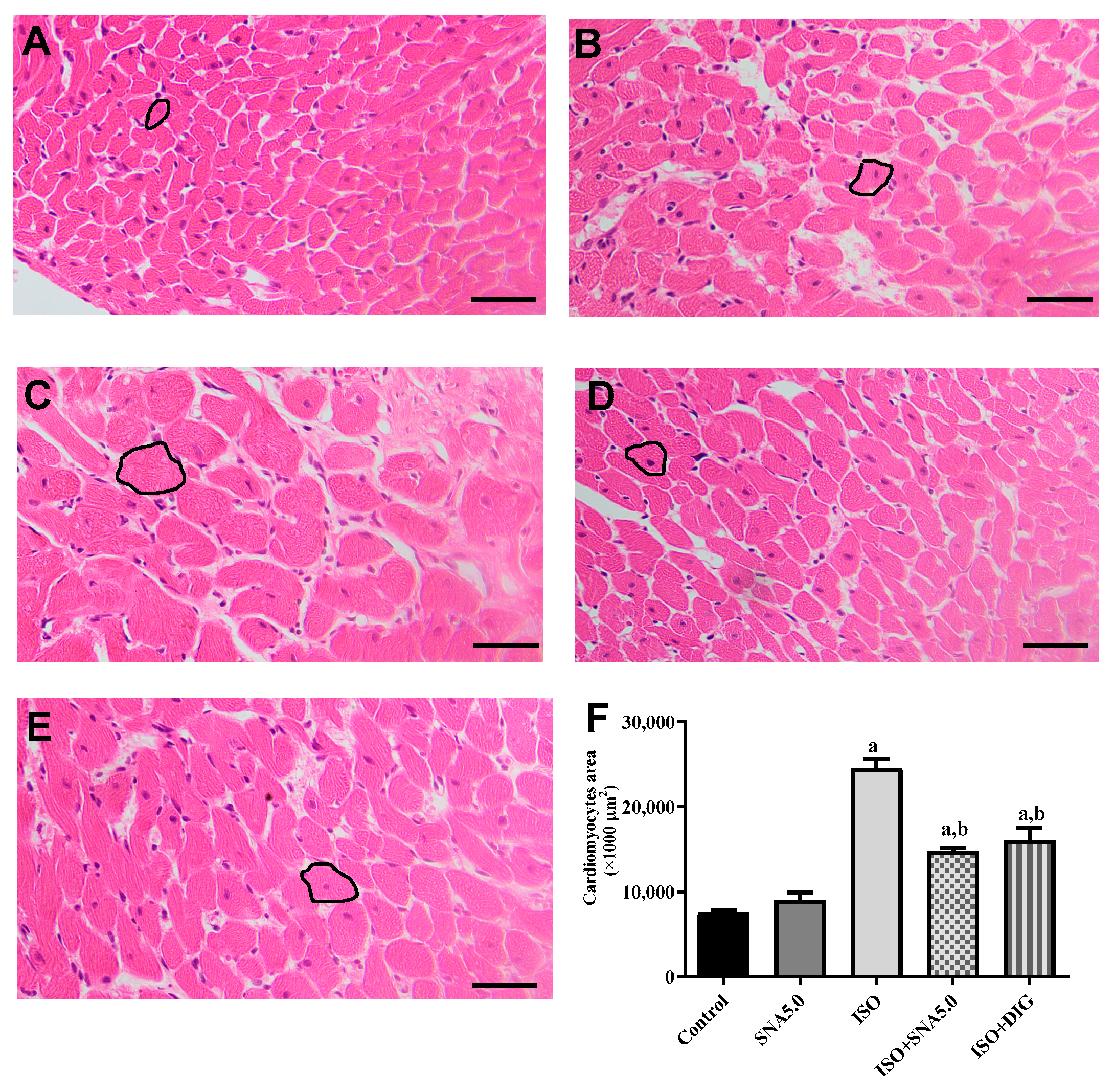 Biomedicines 13 02115 g003