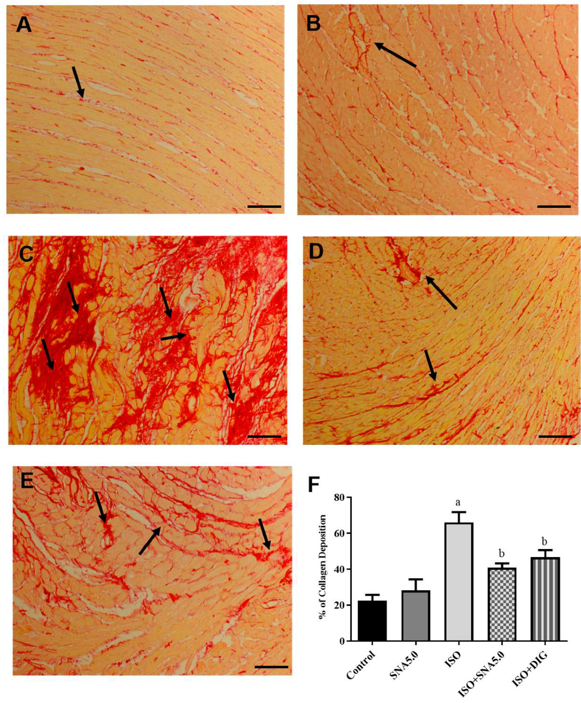 Biomedicines 13 02115 g004