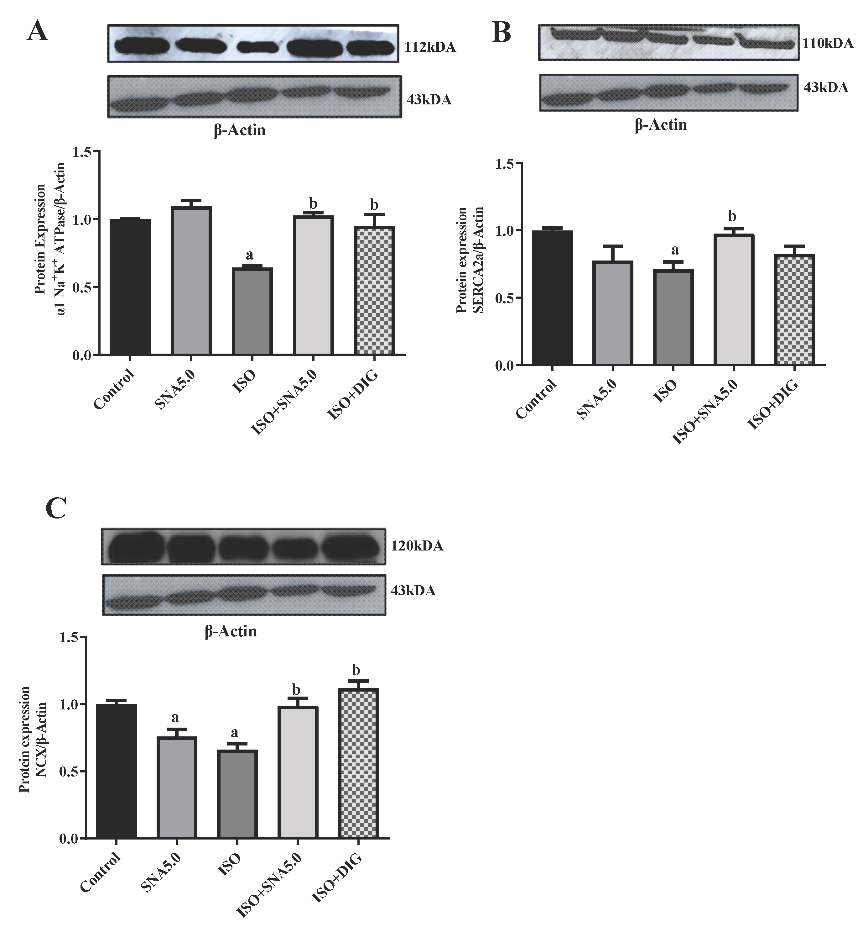 Biomedicines 13 02115 g005