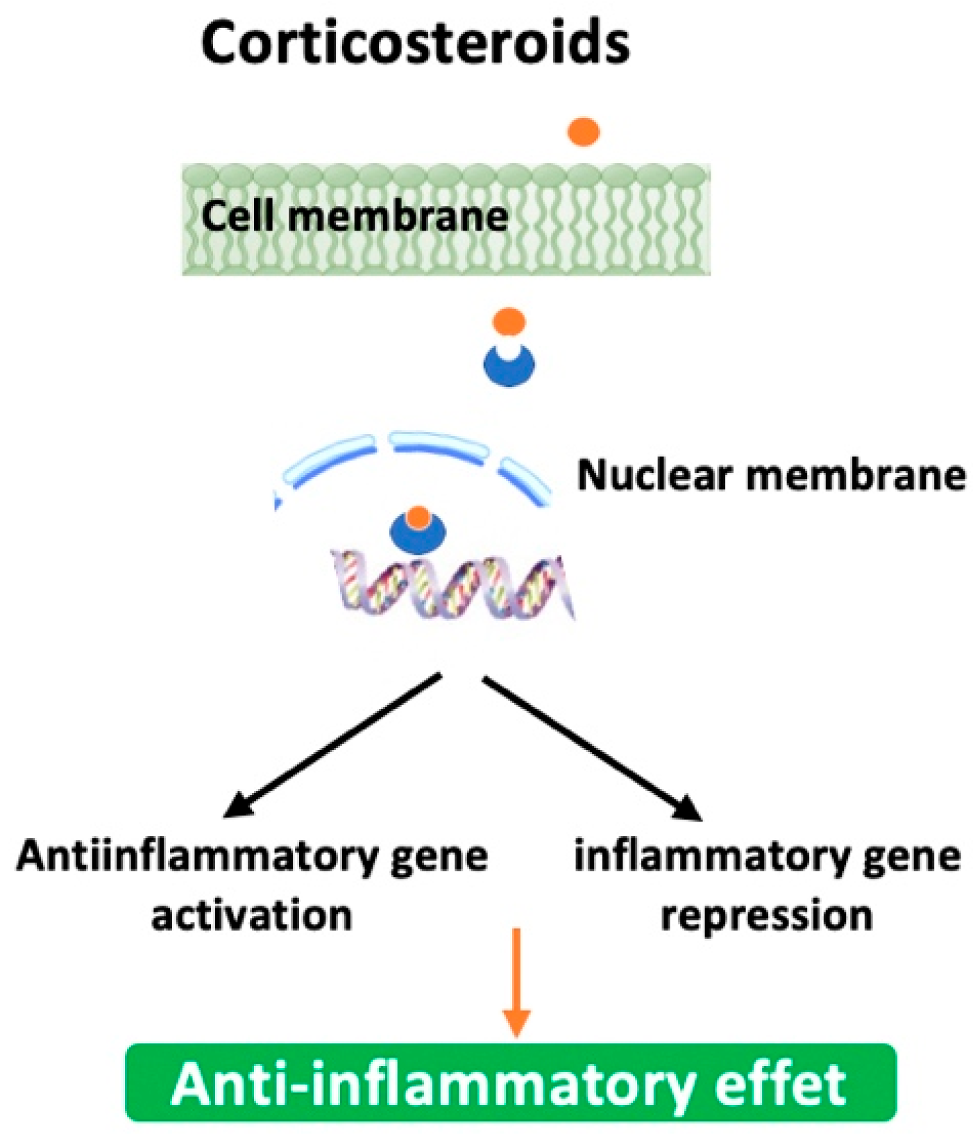 Biomedicines 13 02120 g004