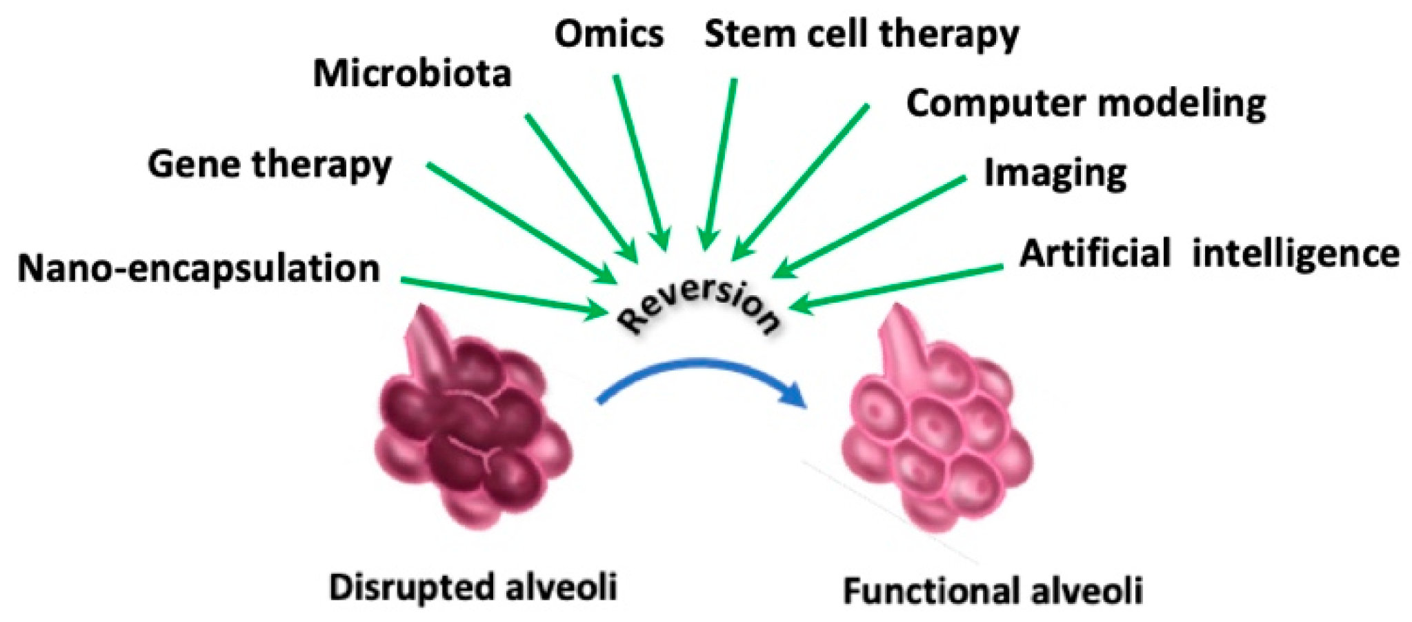 Biomedicines 13 02120 g005