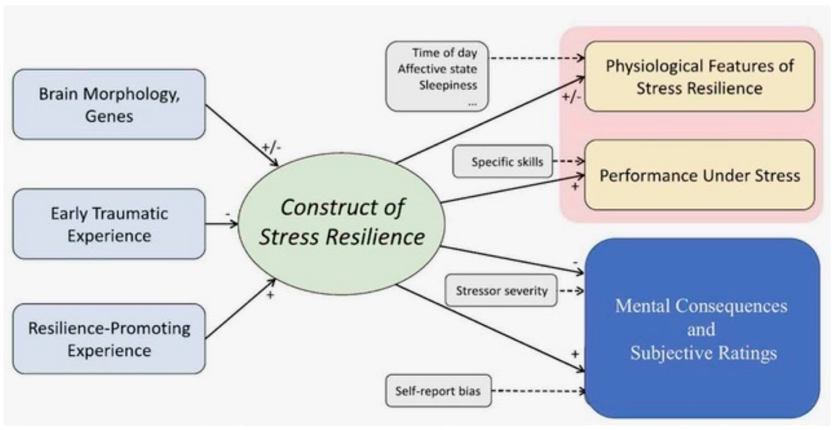 Biomedicines 13 02125 g001