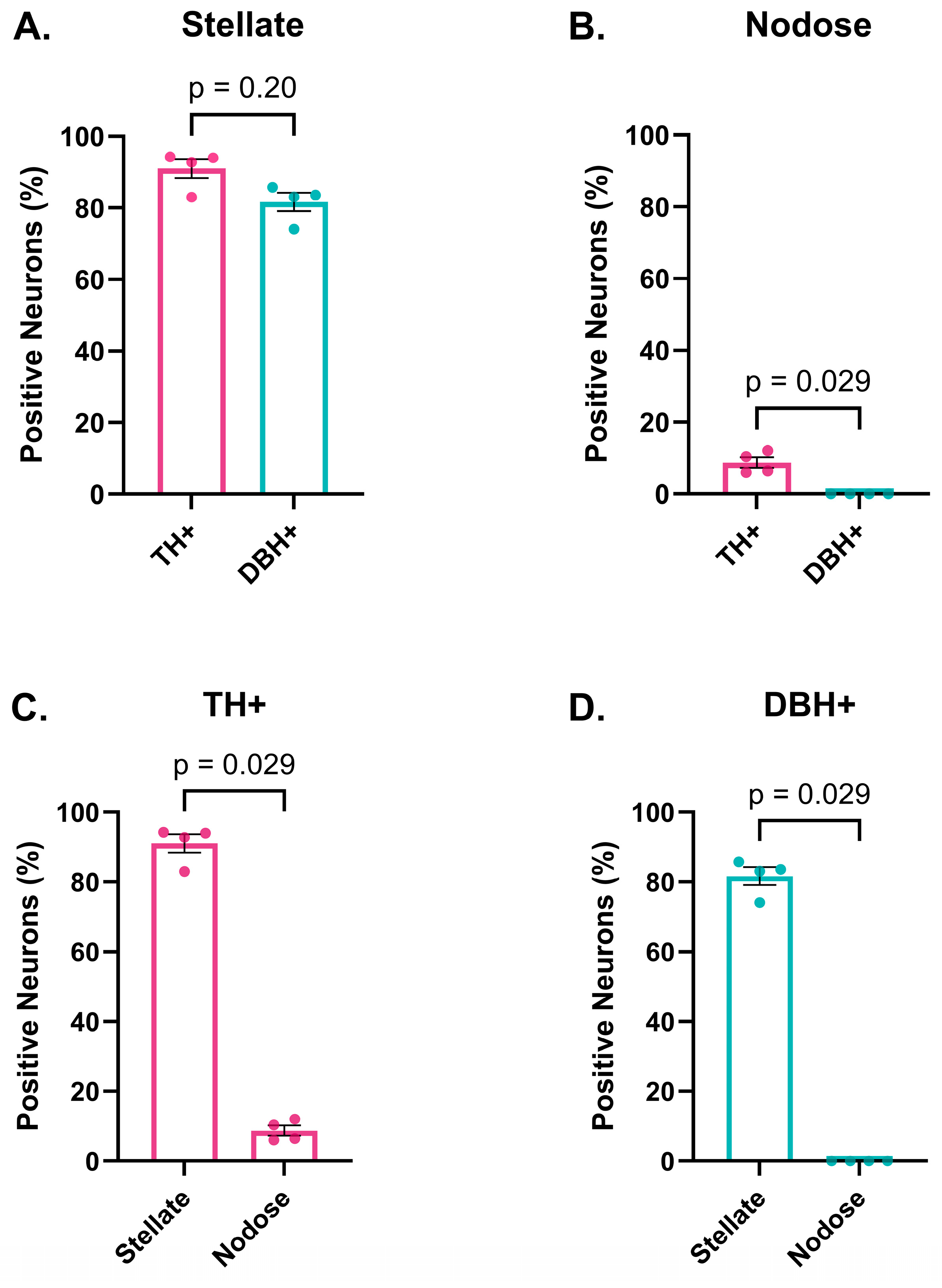 Biomedicines 13 02126 g002