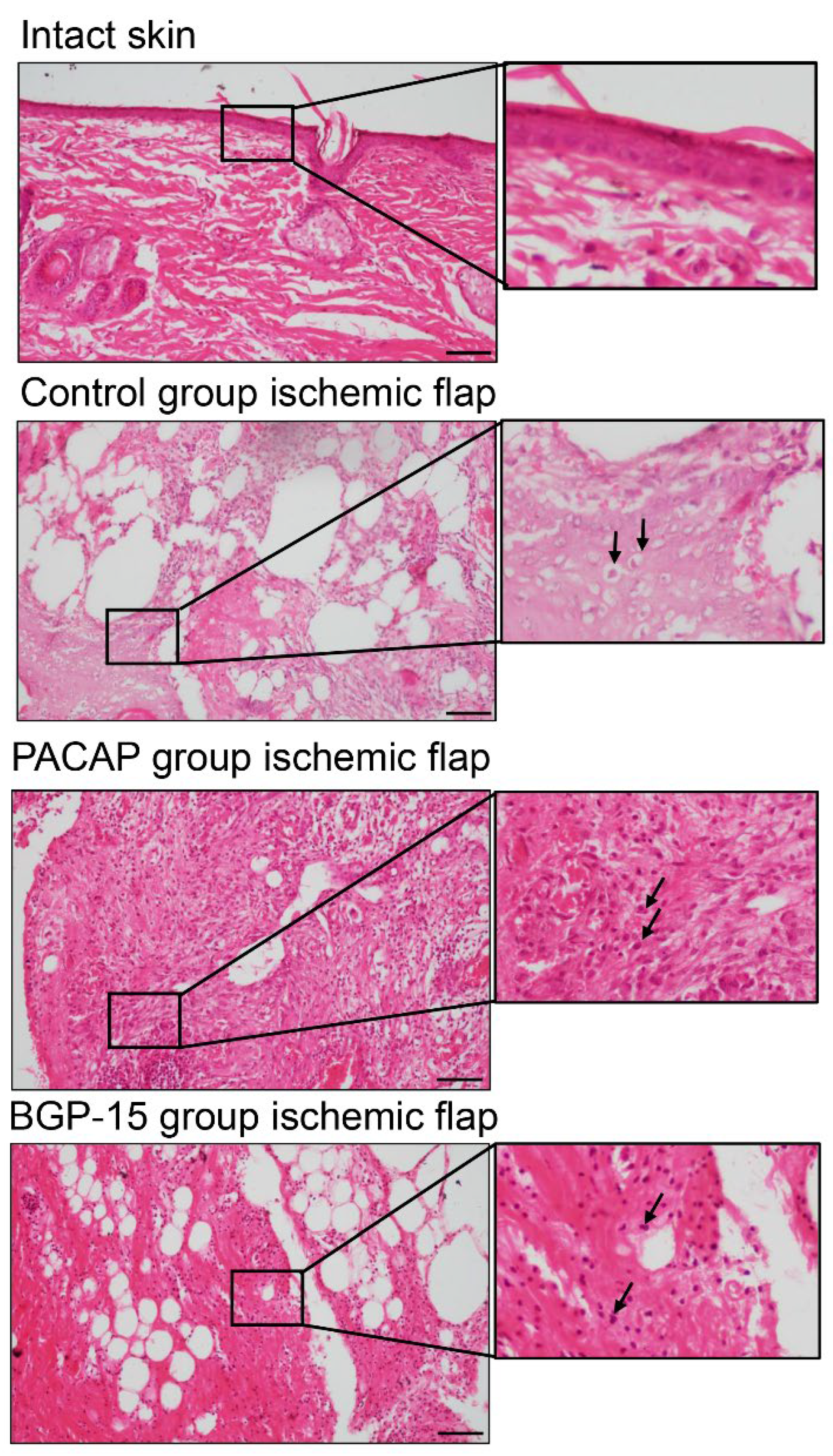 Biomedicines 13 02129 g005