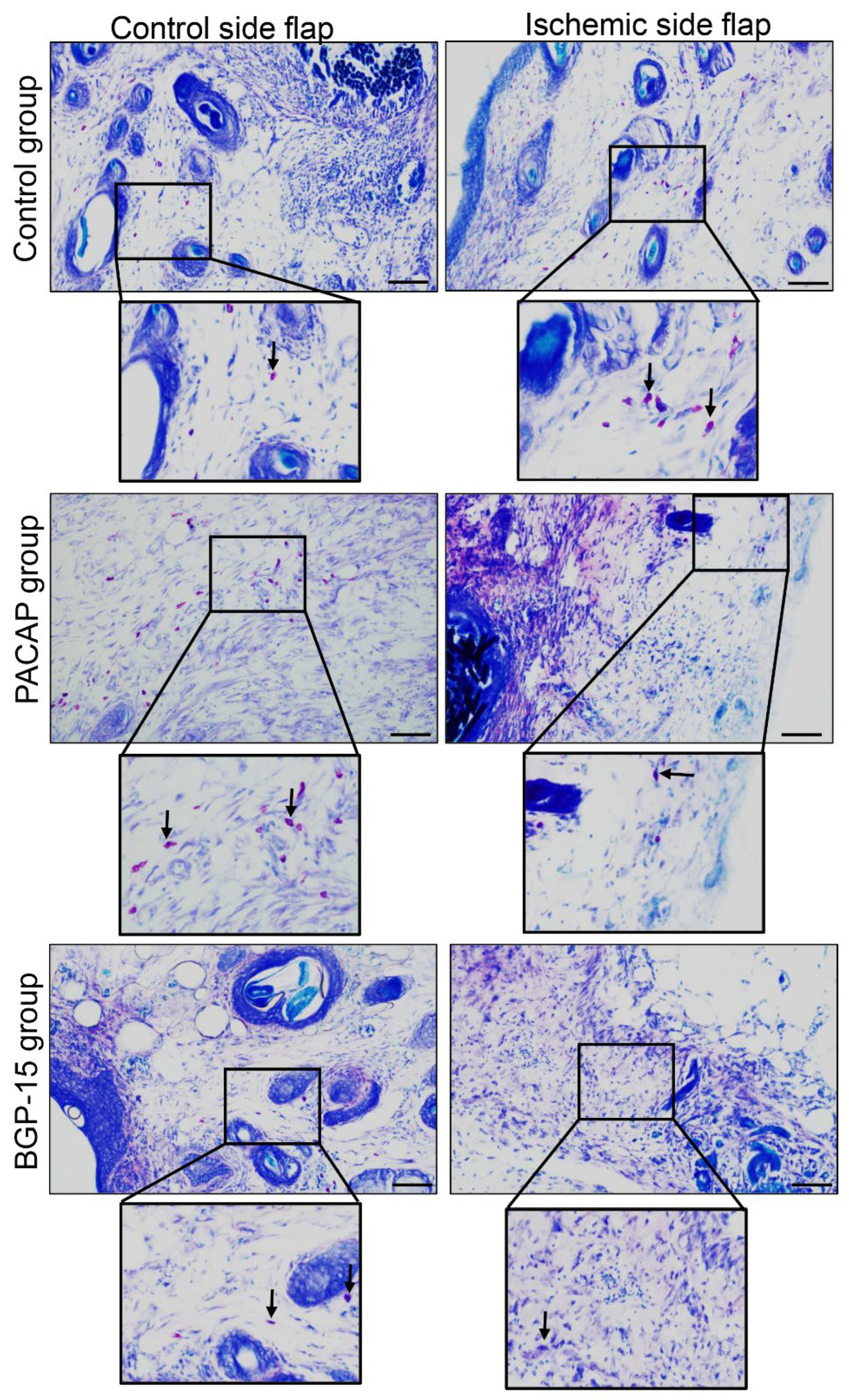 Biomedicines 13 02129 g006