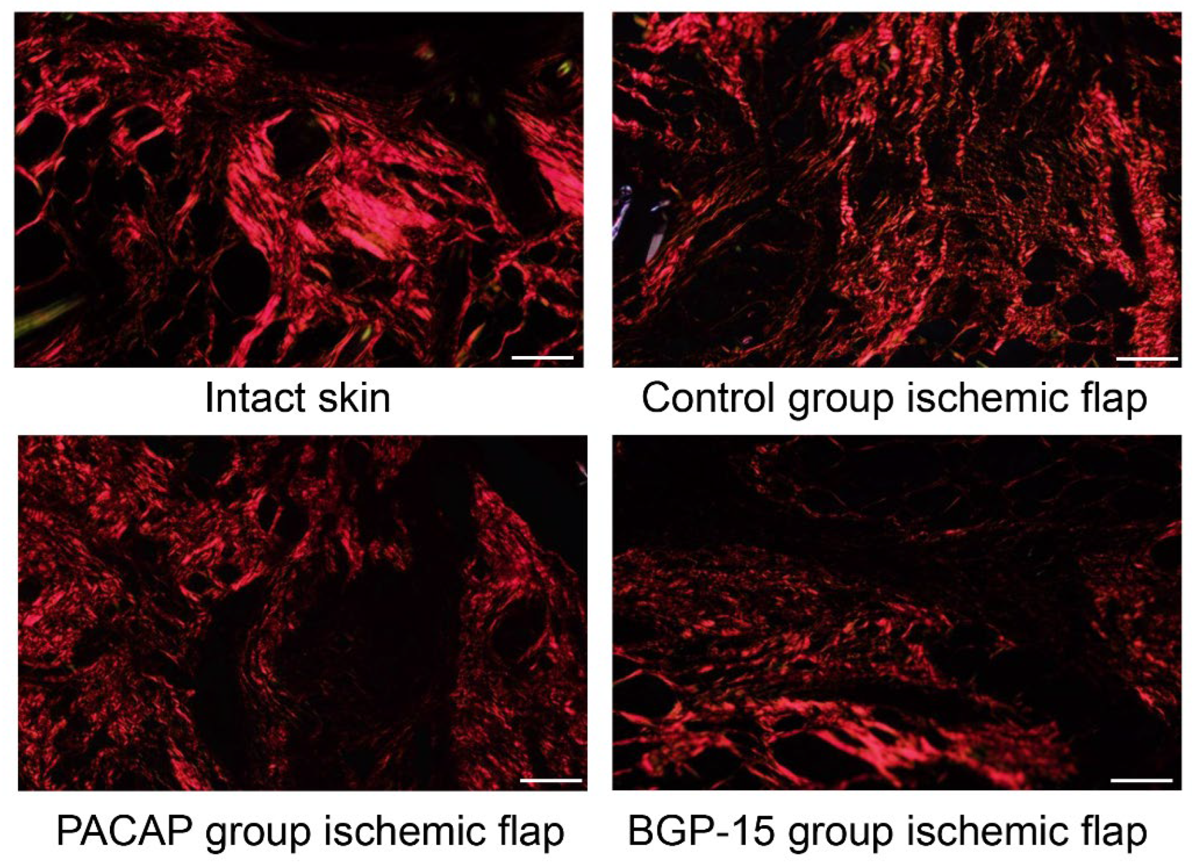 Biomedicines 13 02129 g007