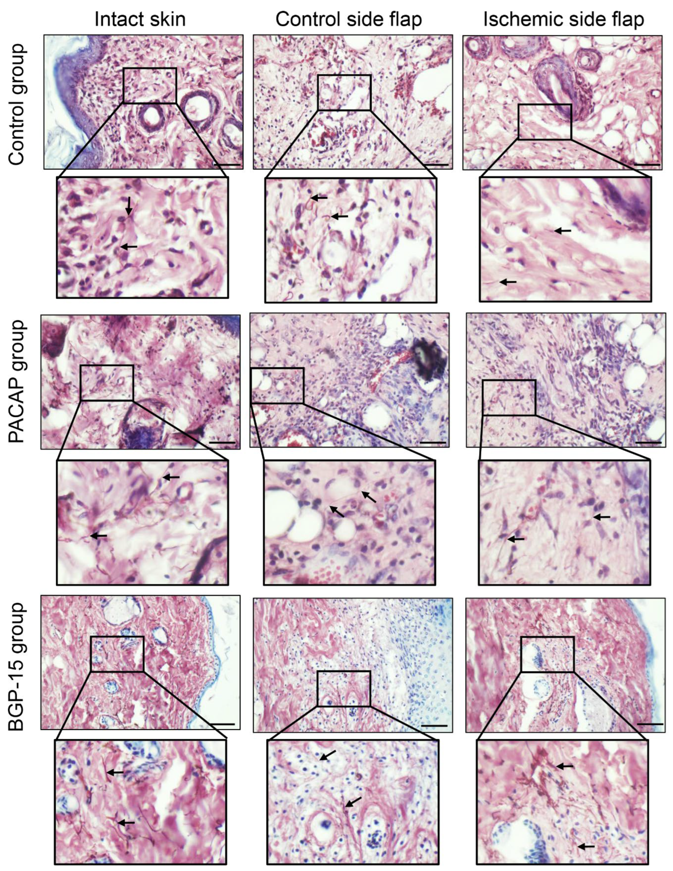Biomedicines 13 02129 g008