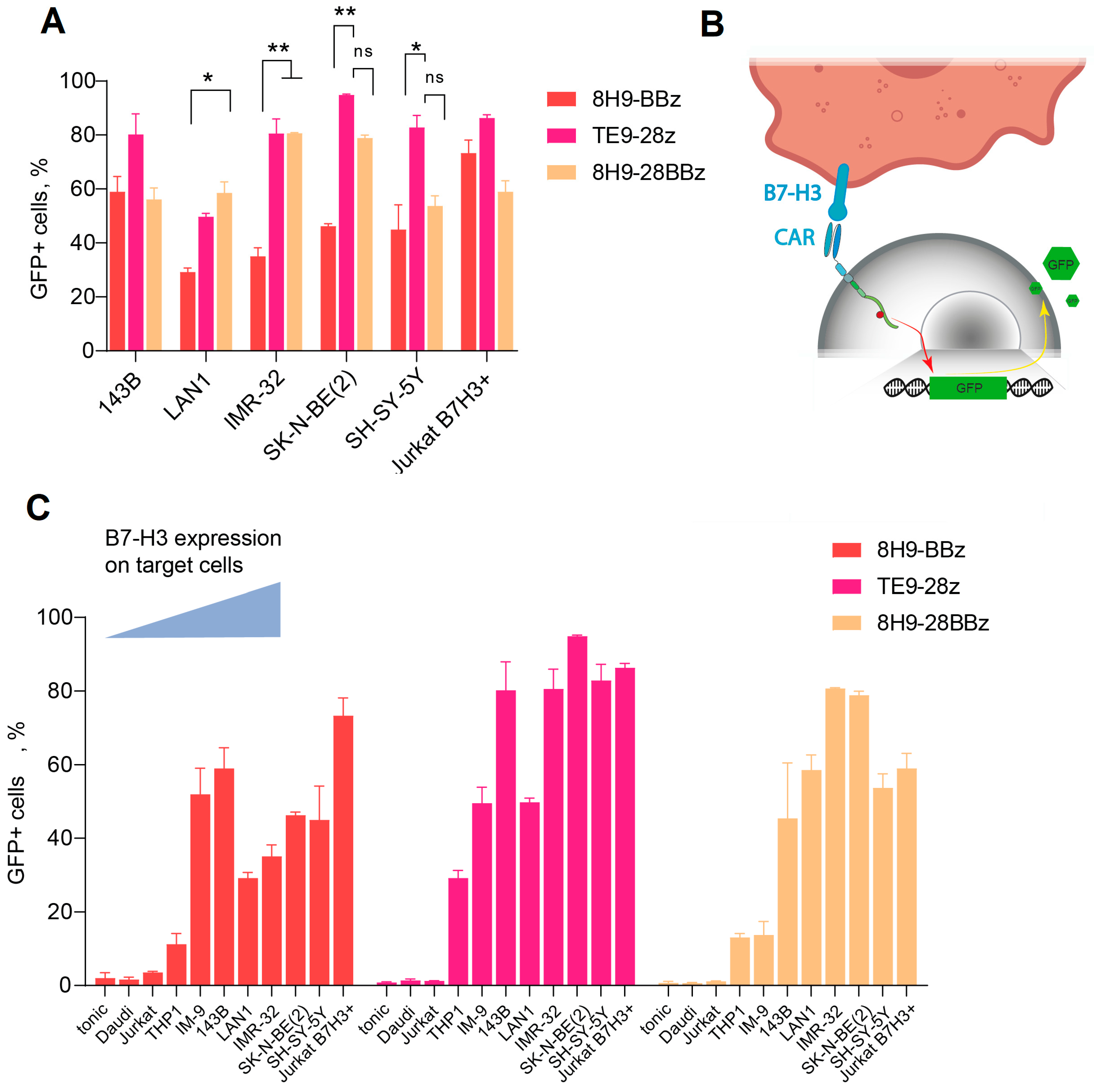 Biomedicines 13 02130 g003