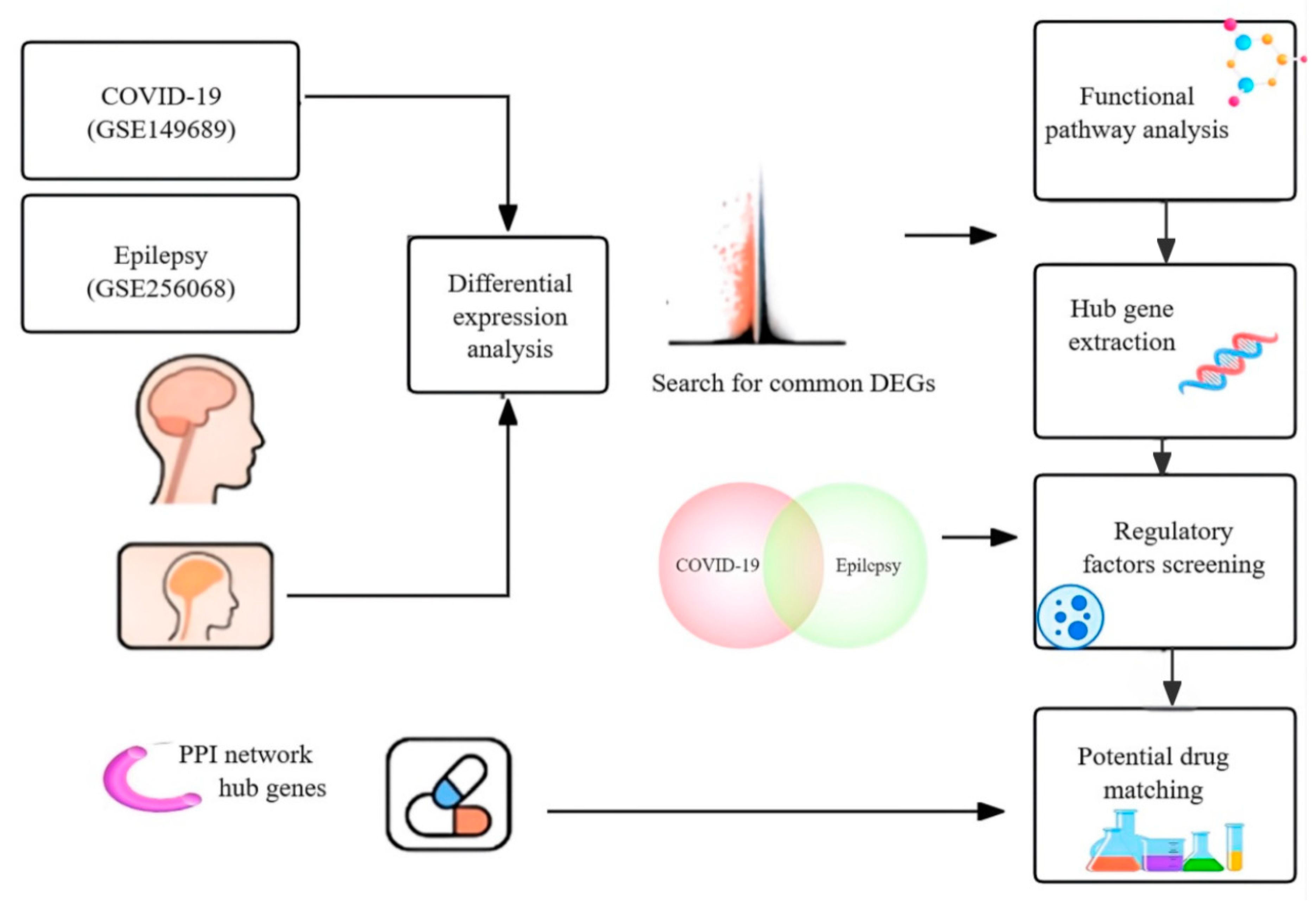 Biomedicines 13 02133 g001