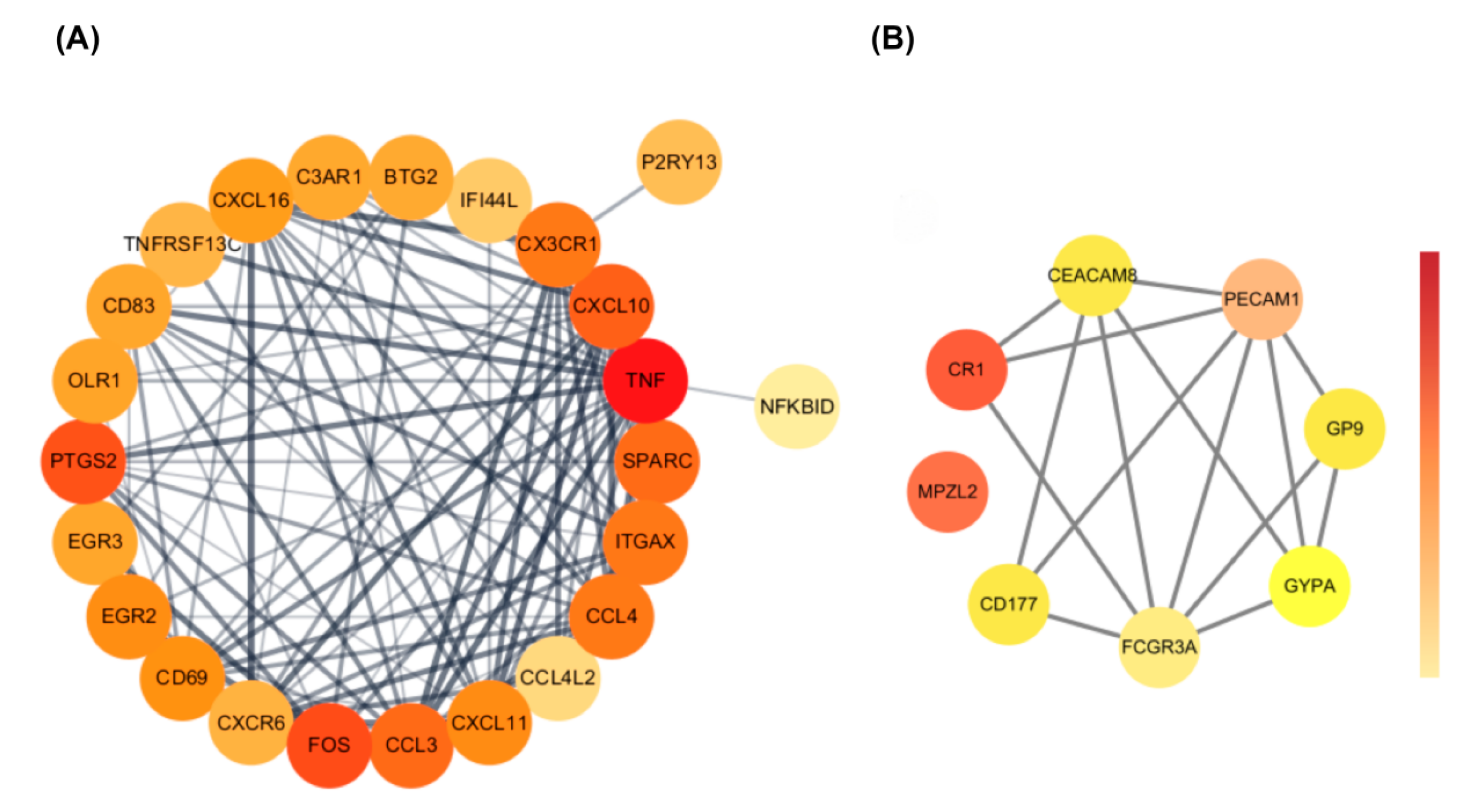Biomedicines 13 02133 g004