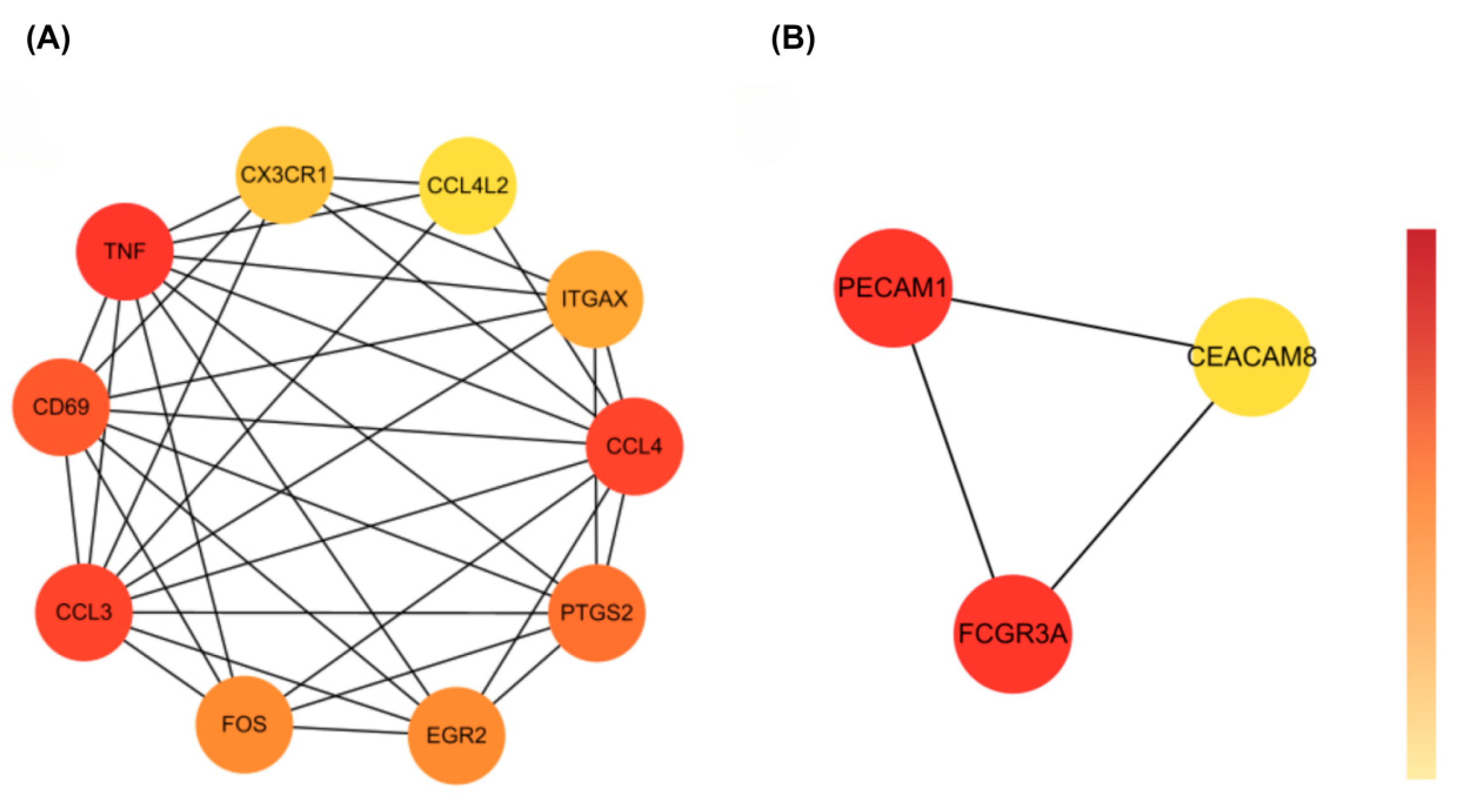 Biomedicines 13 02133 g005
