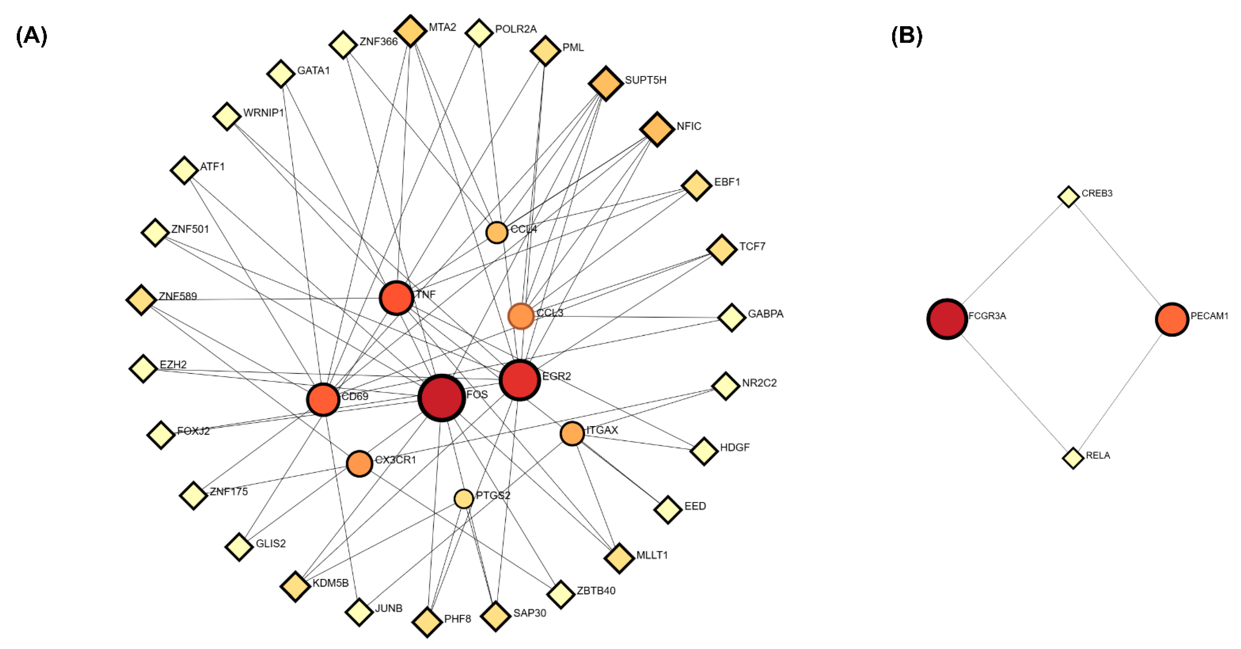 Biomedicines 13 02133 g007