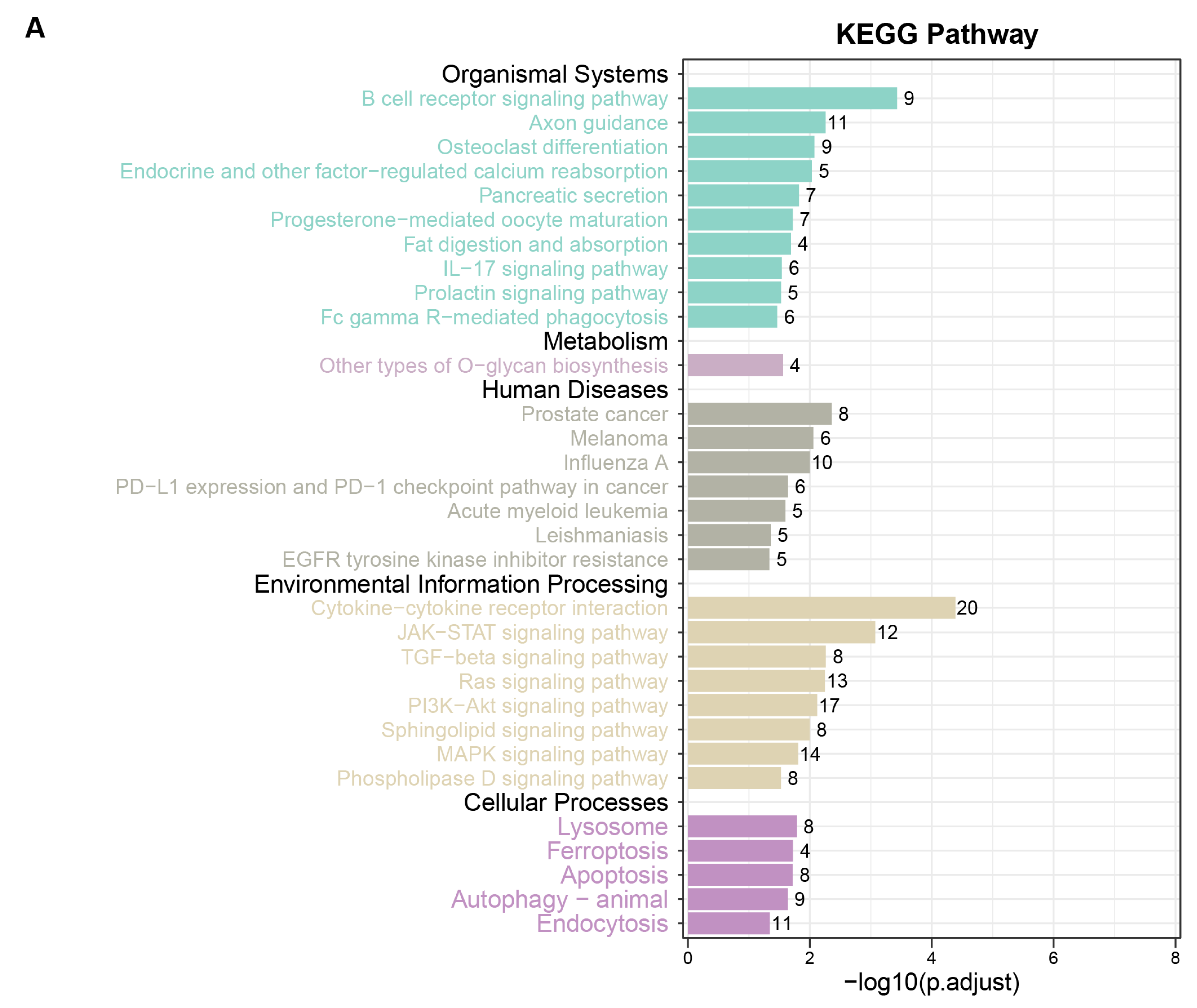 Biomedicines 13 02135 g002a