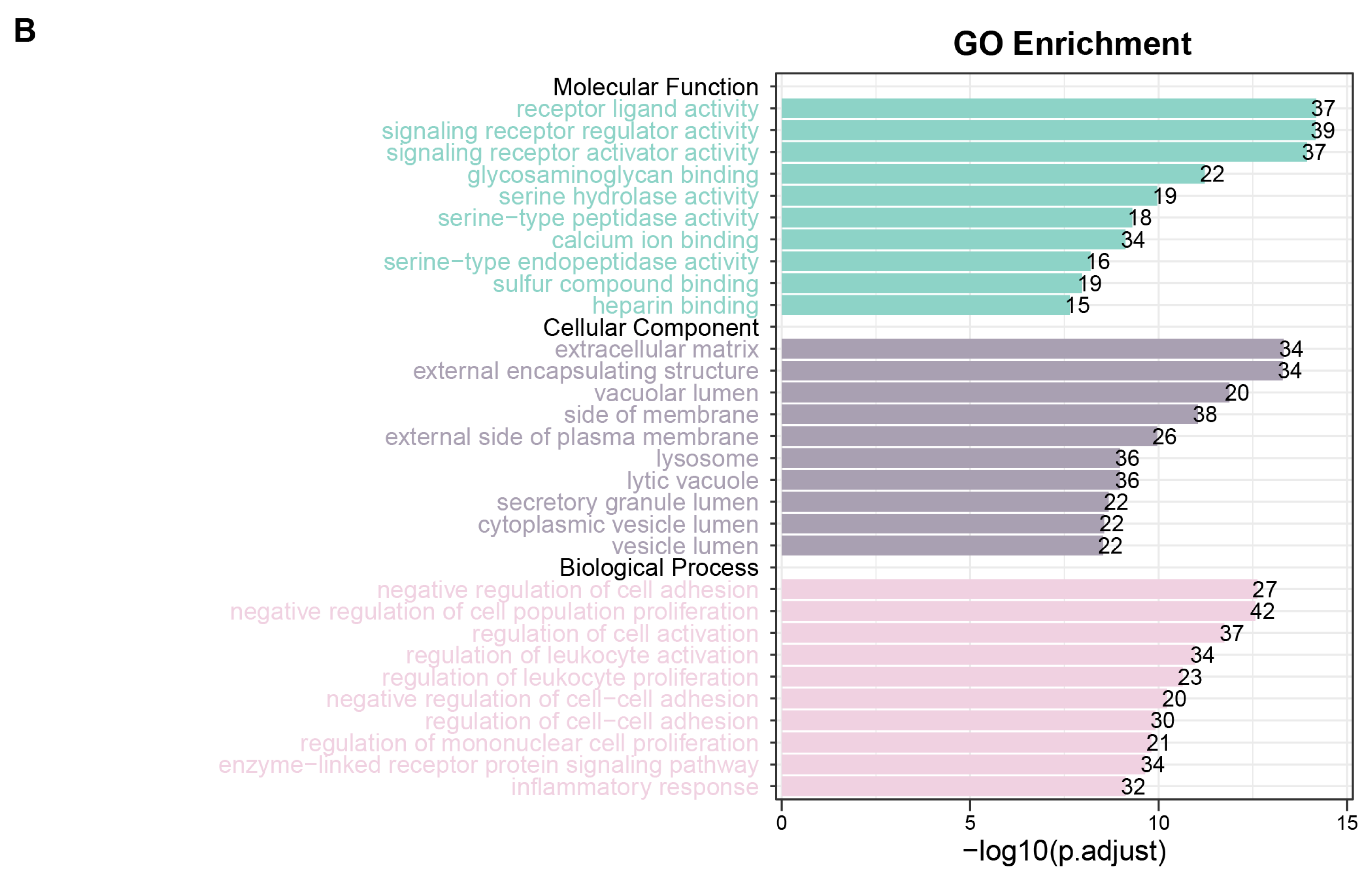 Biomedicines 13 02135 g002b