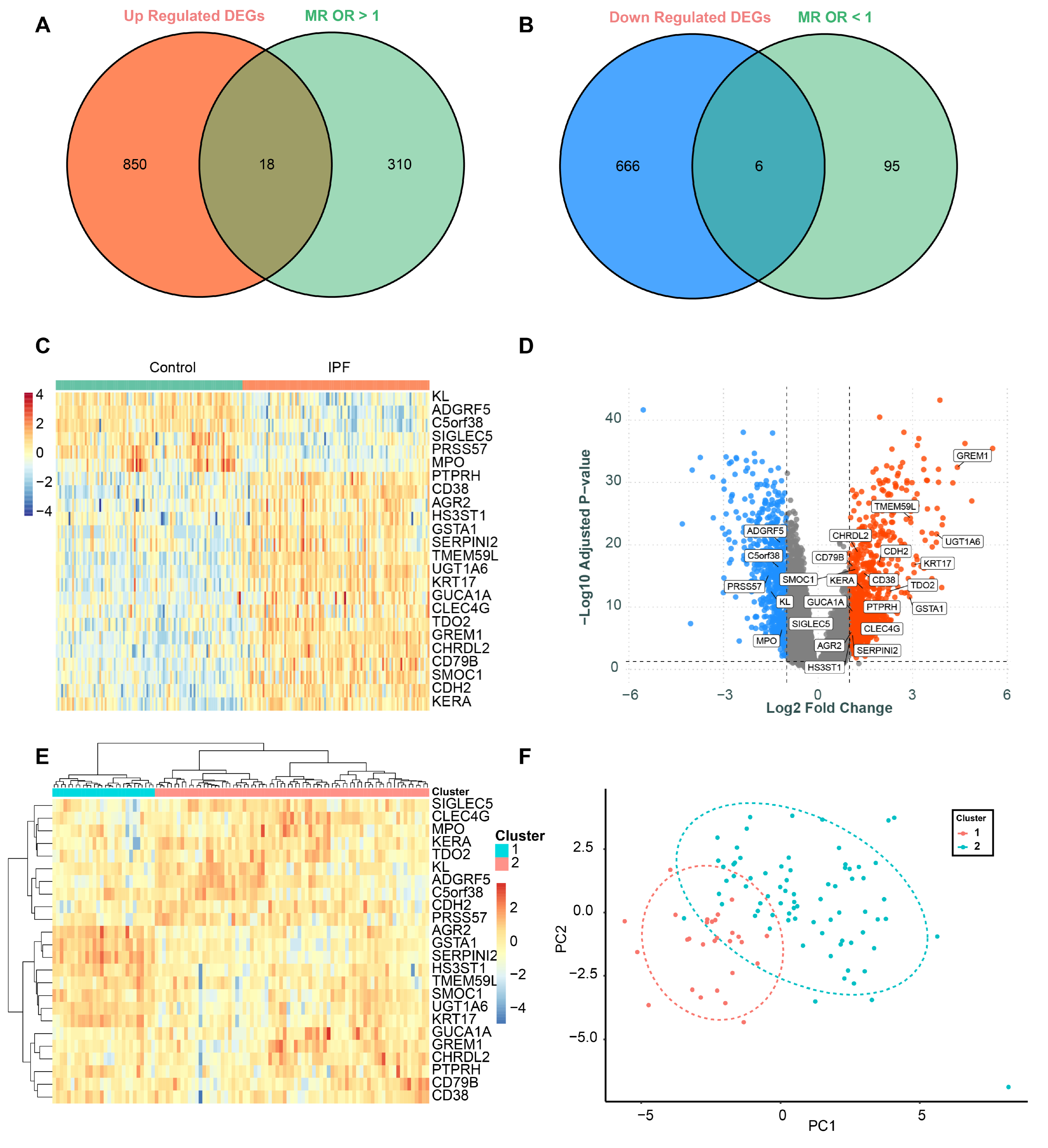 Biomedicines 13 02135 g003