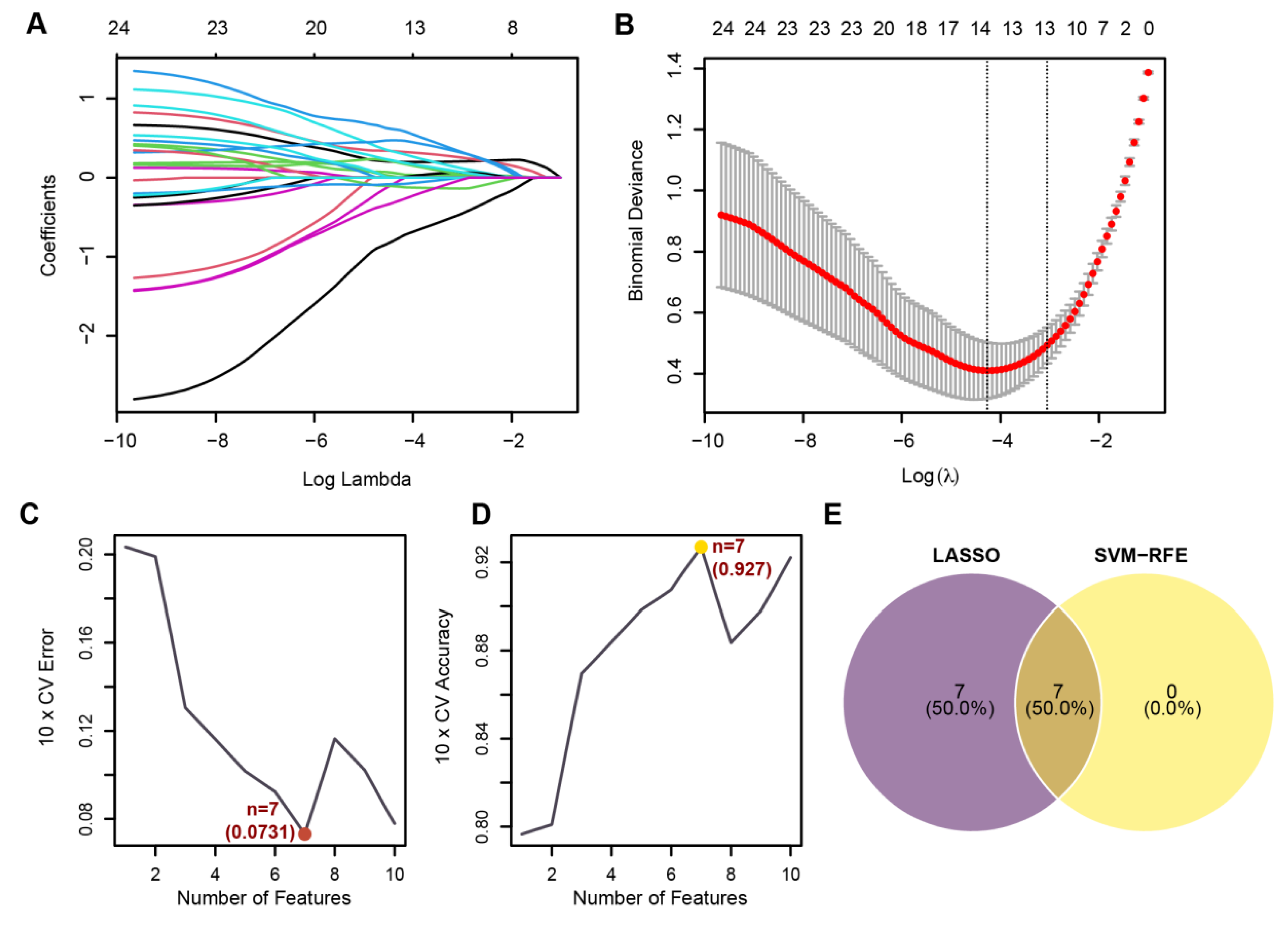 Biomedicines 13 02135 g006a