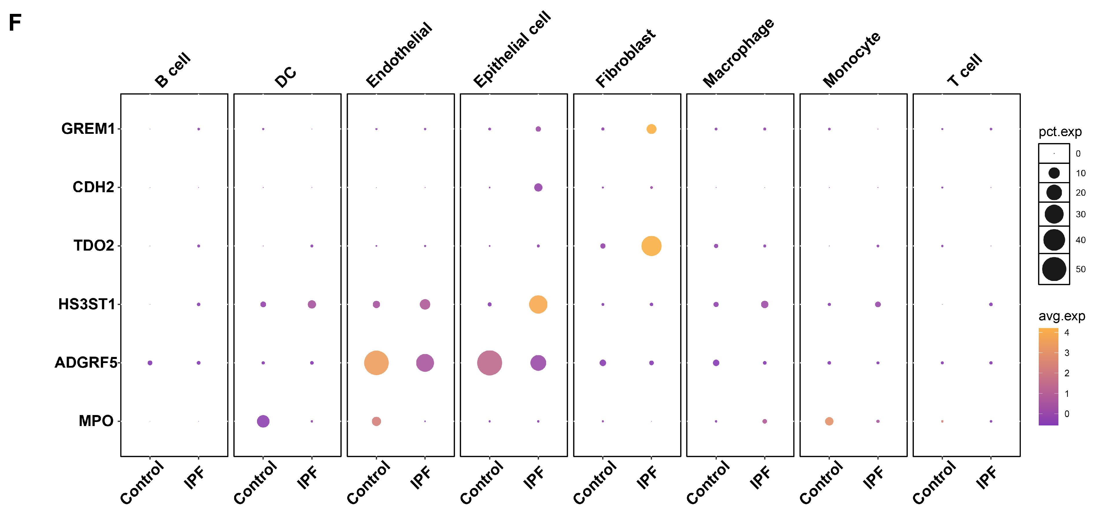 Biomedicines 13 02135 g007b