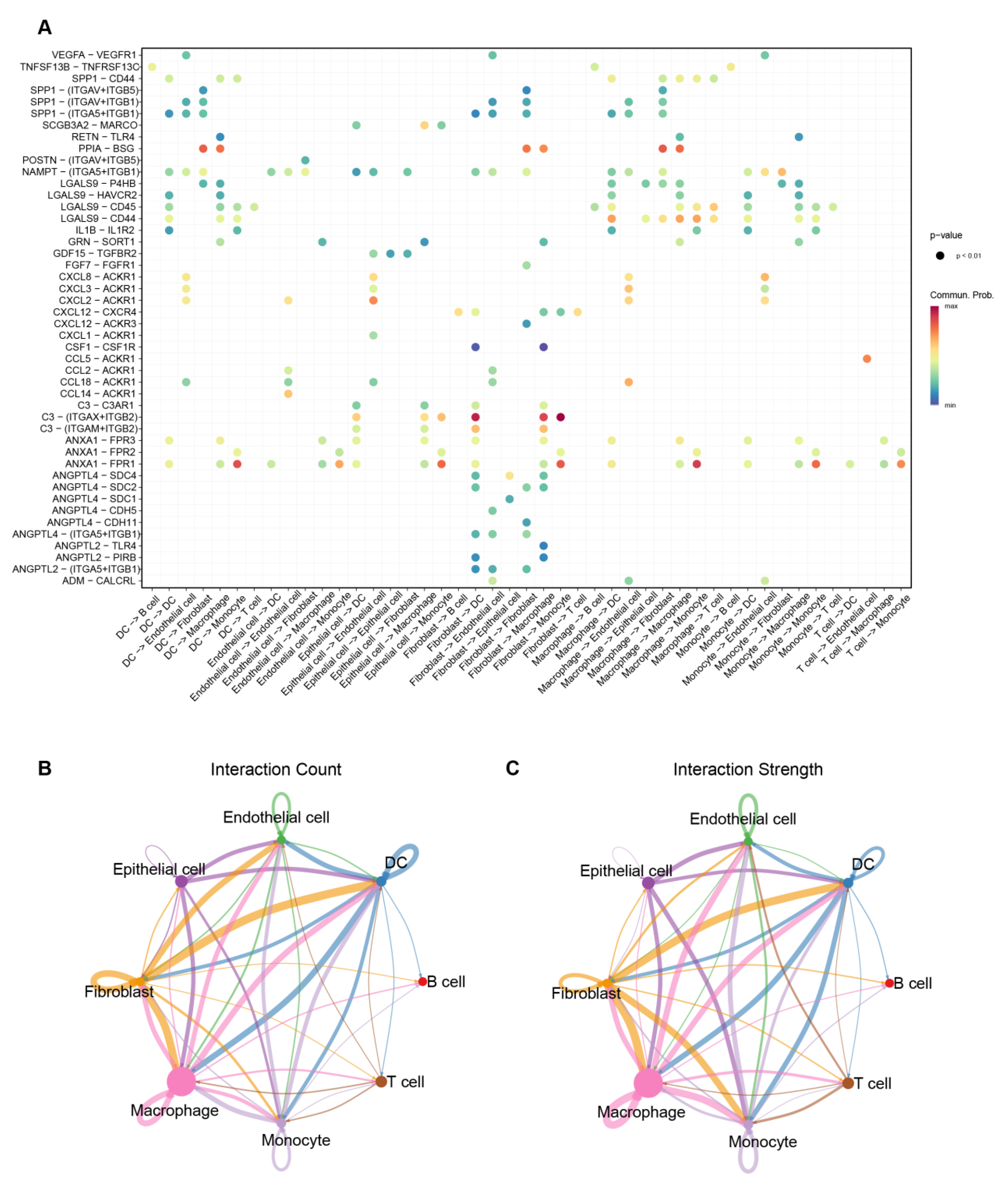 Biomedicines 13 02135 g008