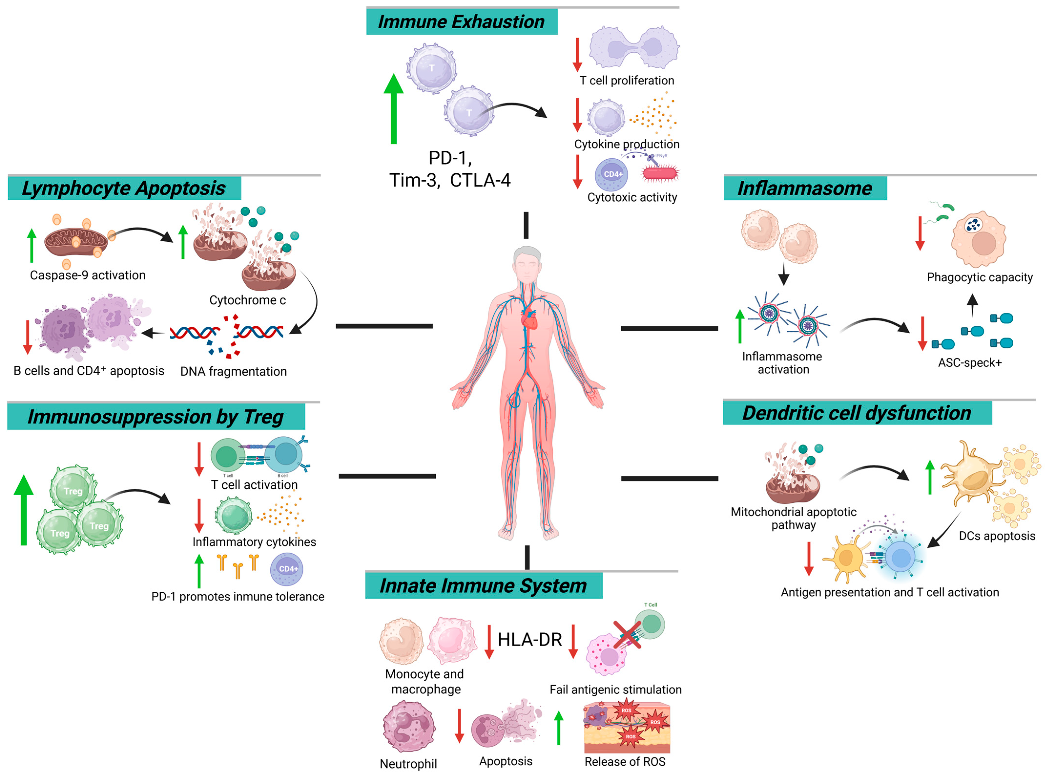 Biomedicines 13 02139 g001