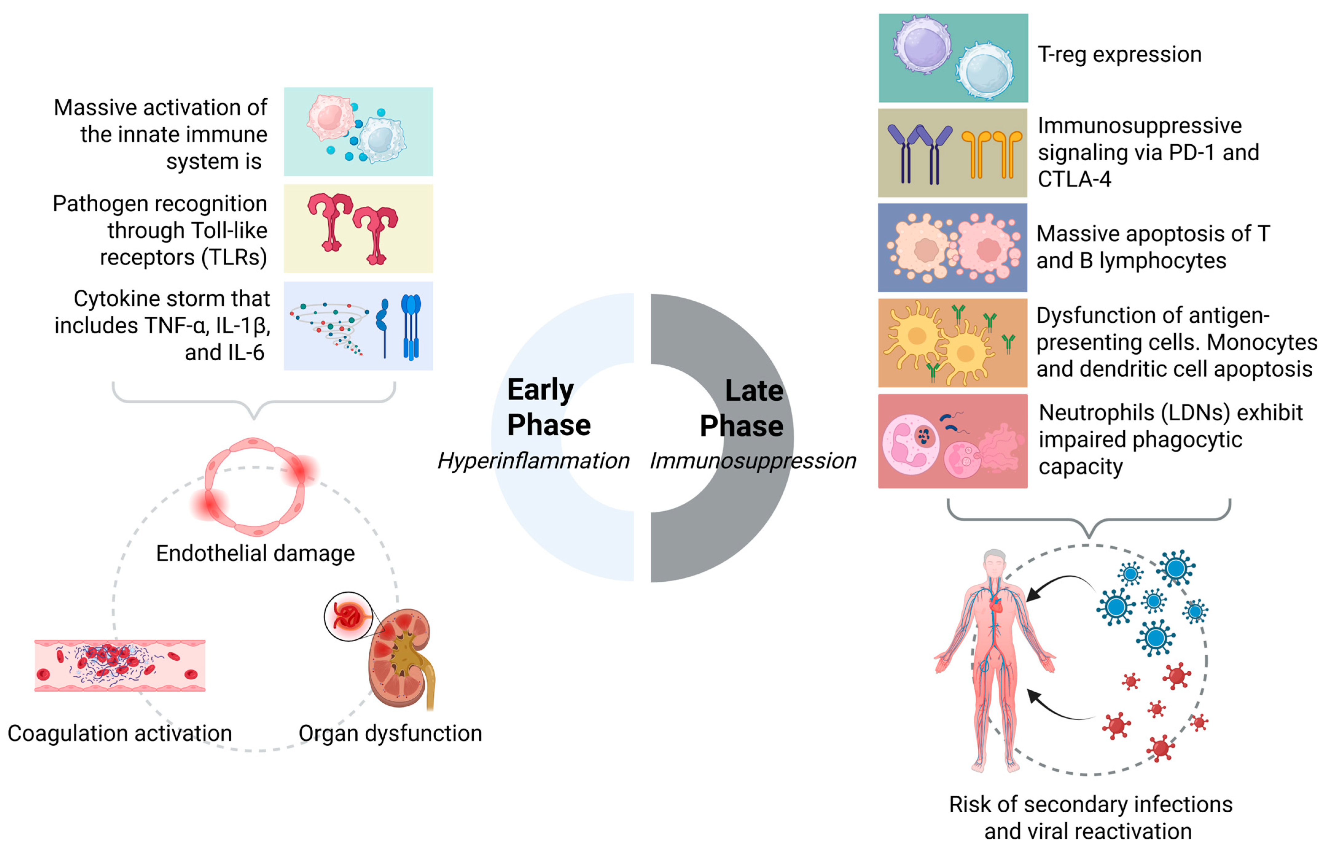 Biomedicines 13 02139 g002