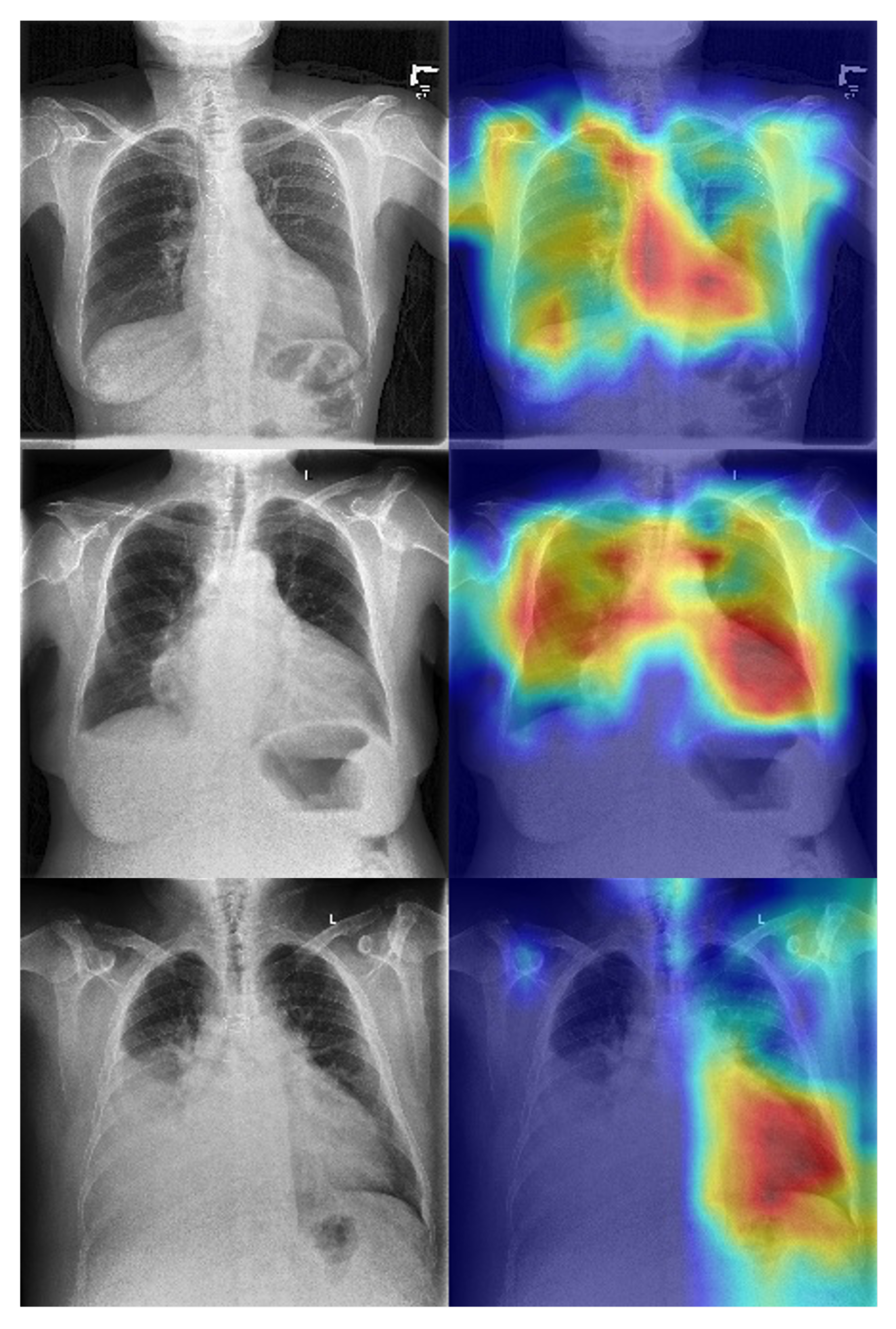 Biomedicines 13 02140 g005