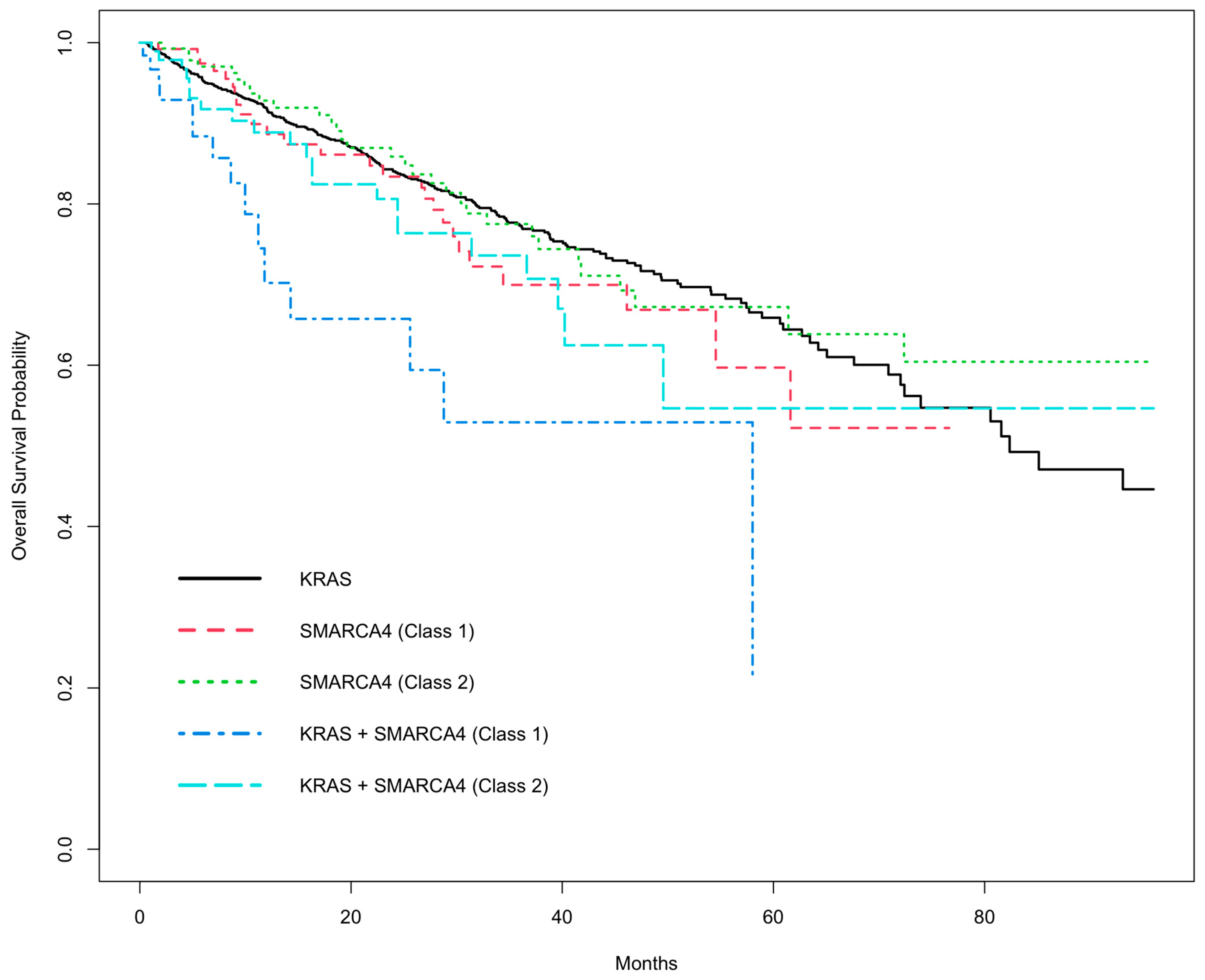 Biomedicines 13 02142 g001