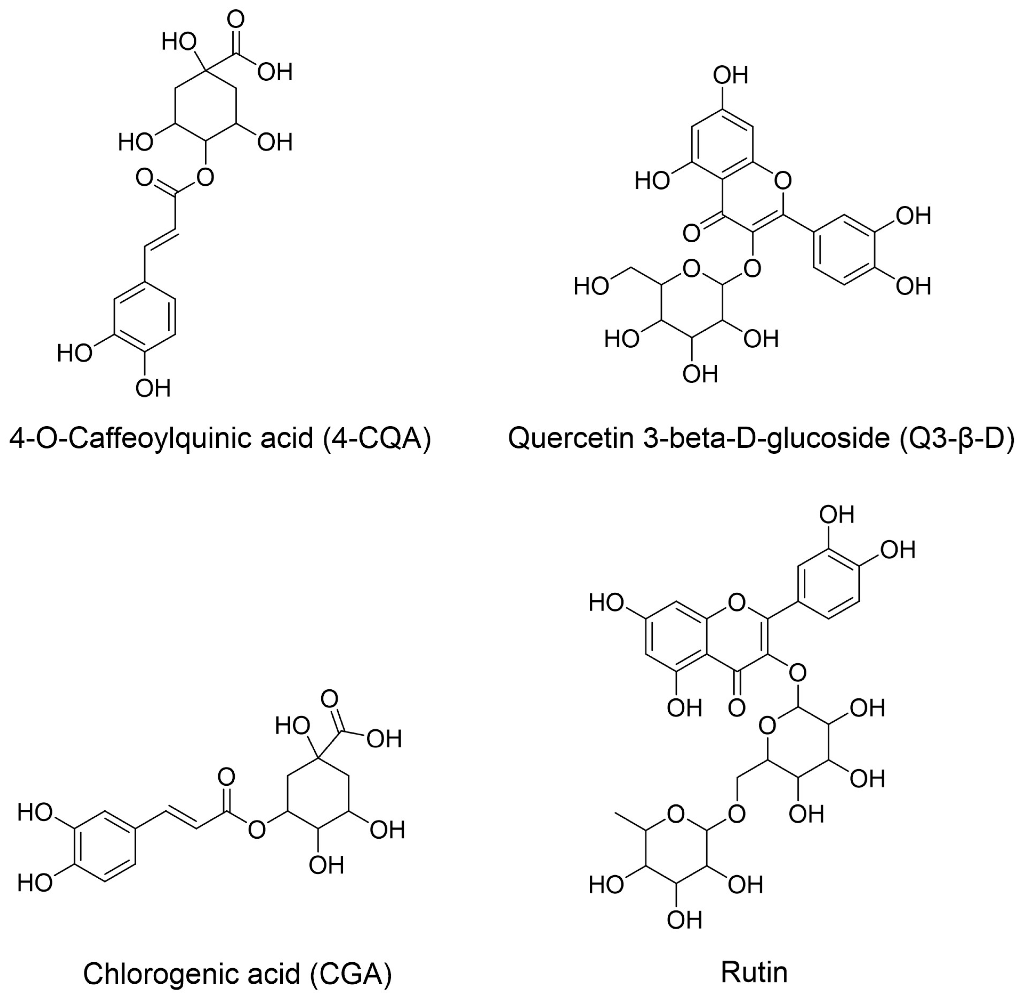 Biomedicines 13 02148 g001