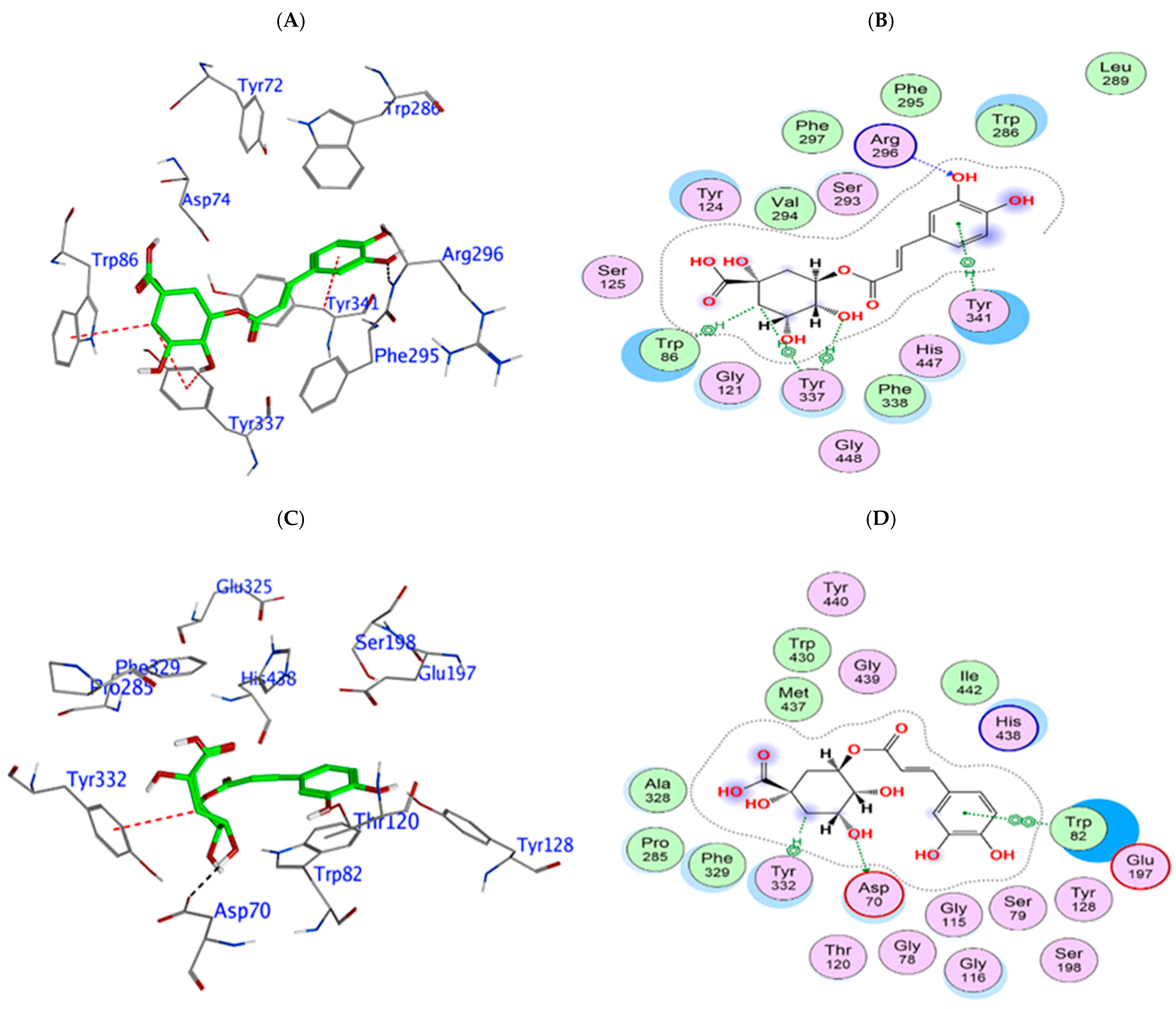 Biomedicines 13 02148 g005