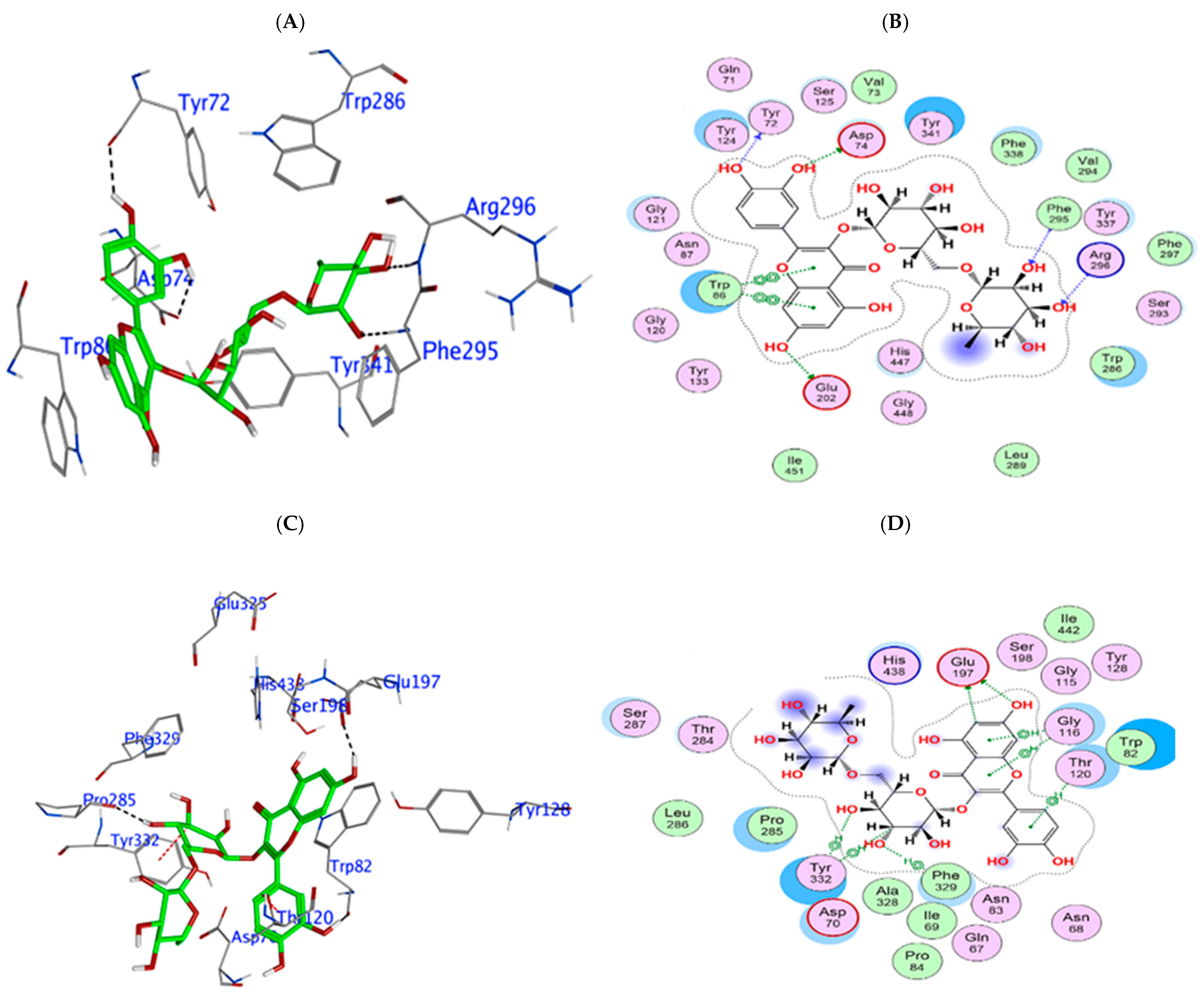 Biomedicines 13 02148 g006